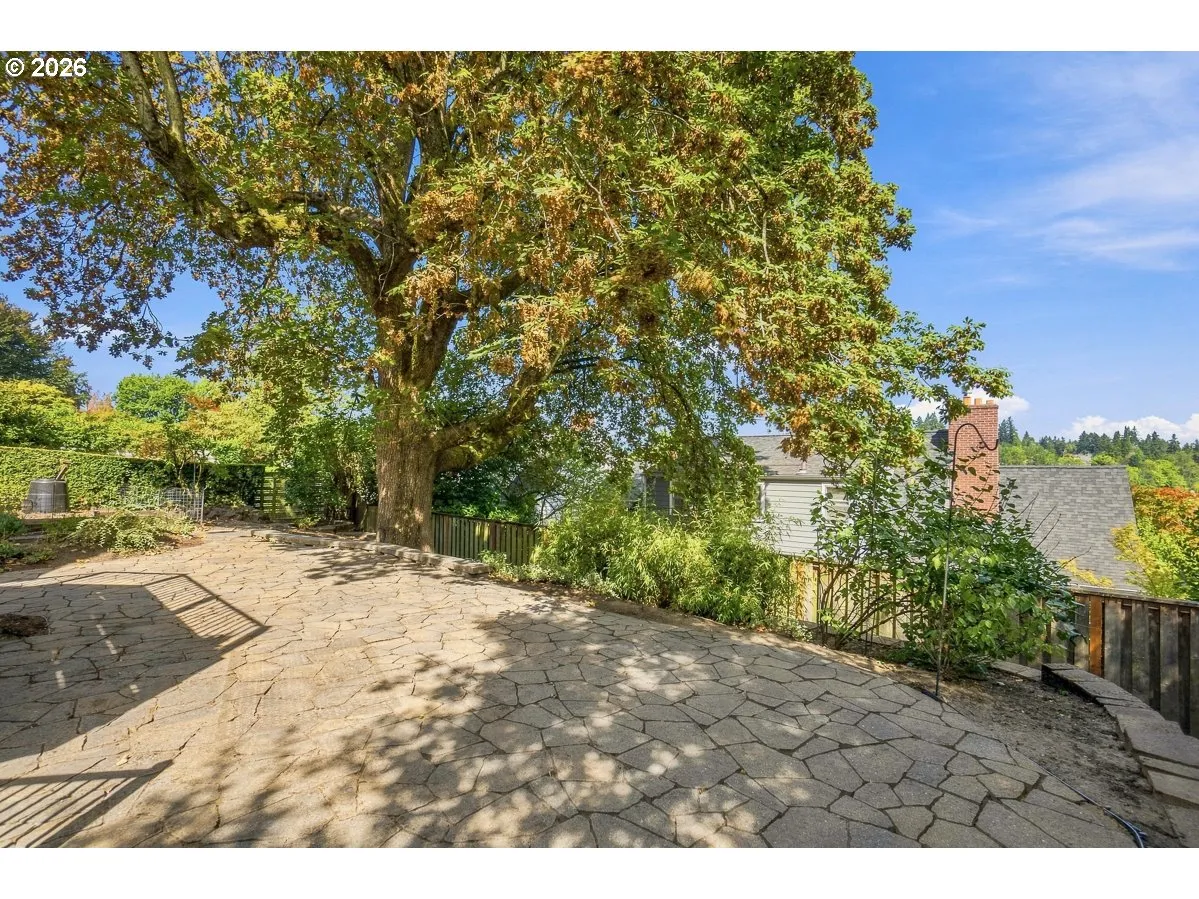 Patio-Backyard