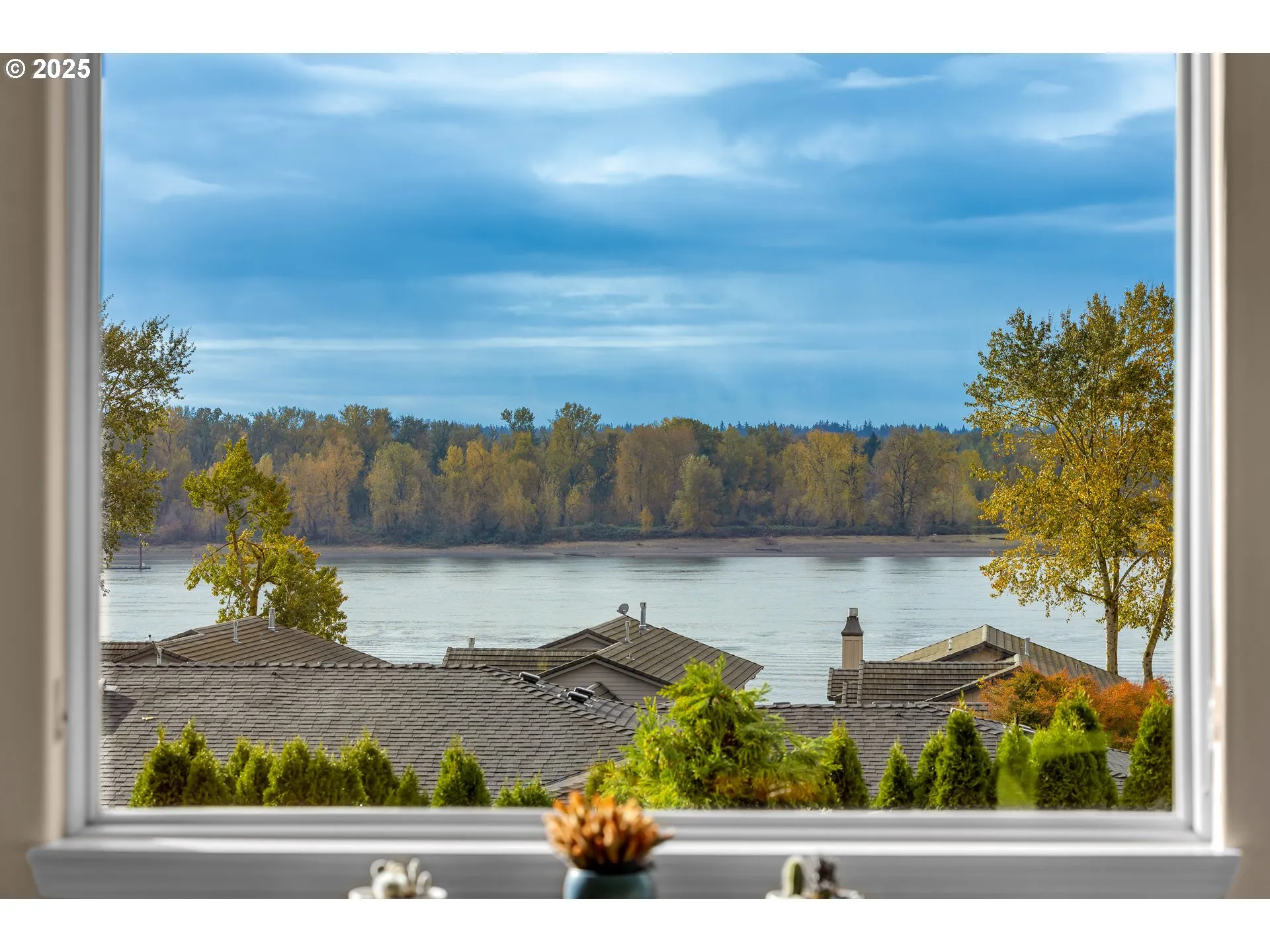 Living Room-View From