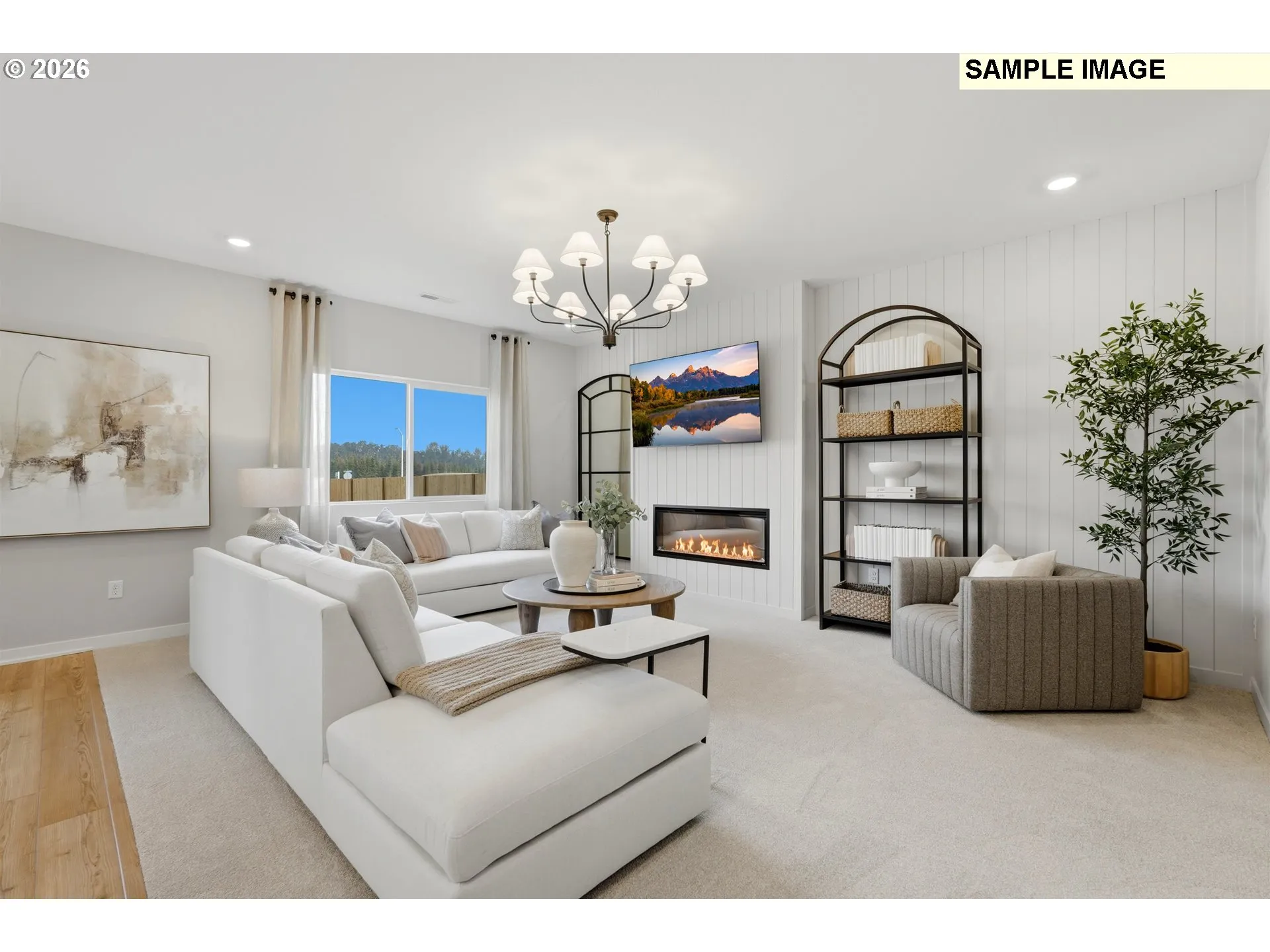 Fireplace Insert