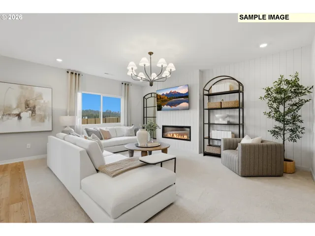 Fireplace Insert