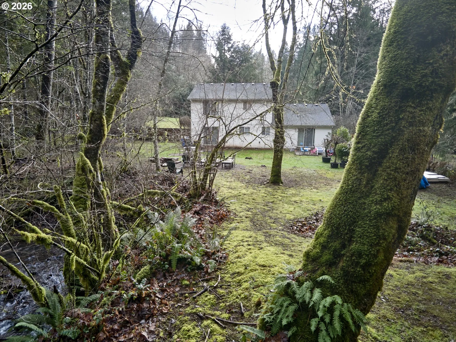 Backyard-View From