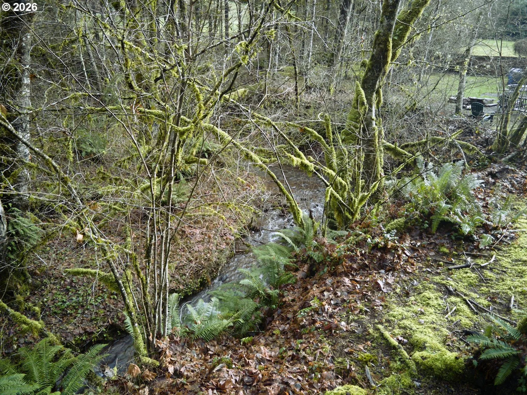 Creek-Back