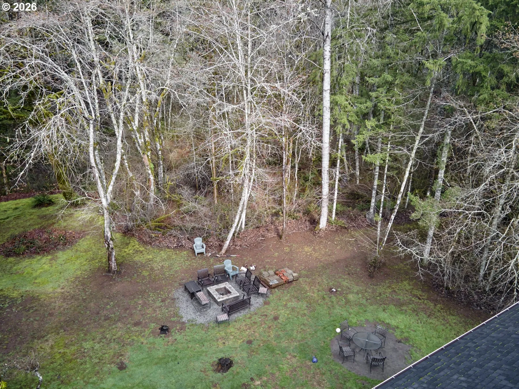 Backyard-# 3