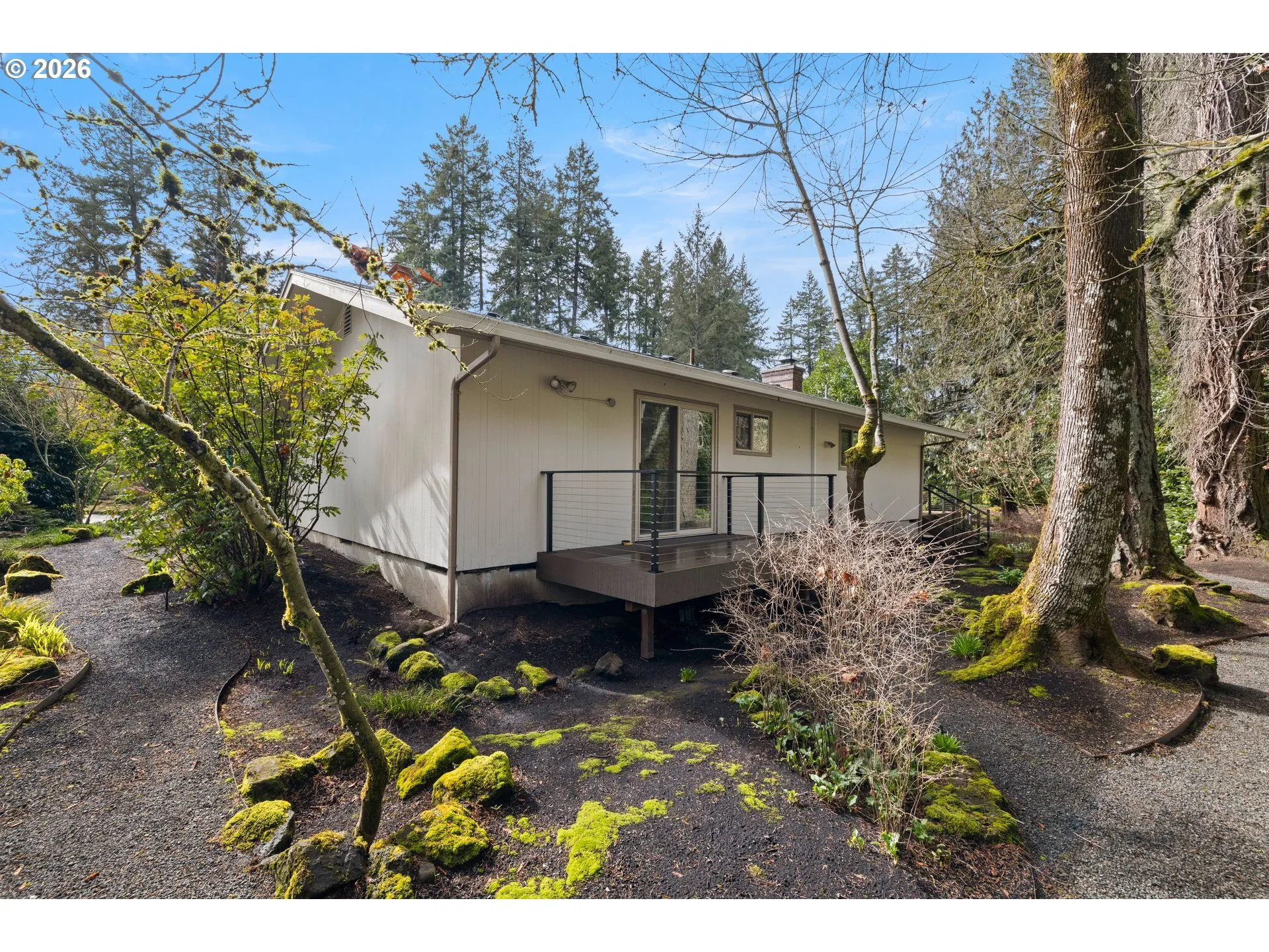 Backyard-View From