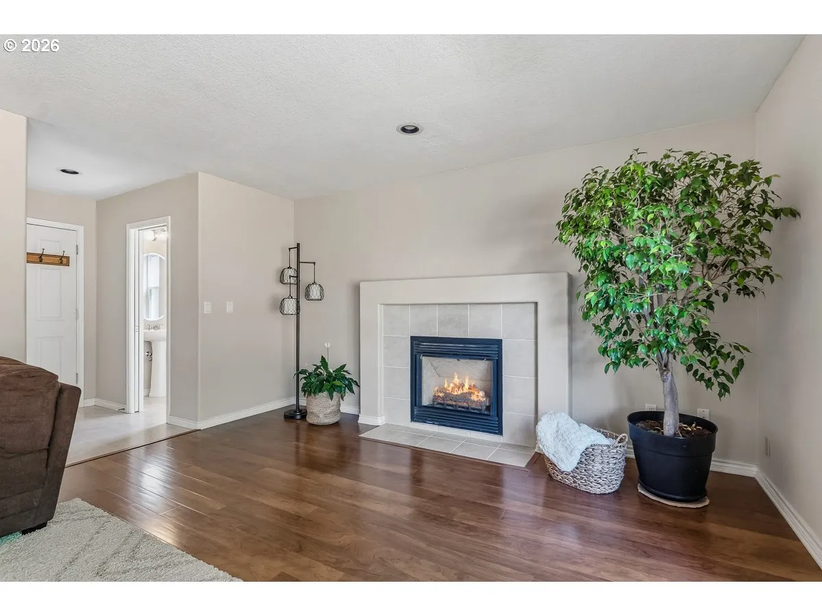 Fireplace Gas