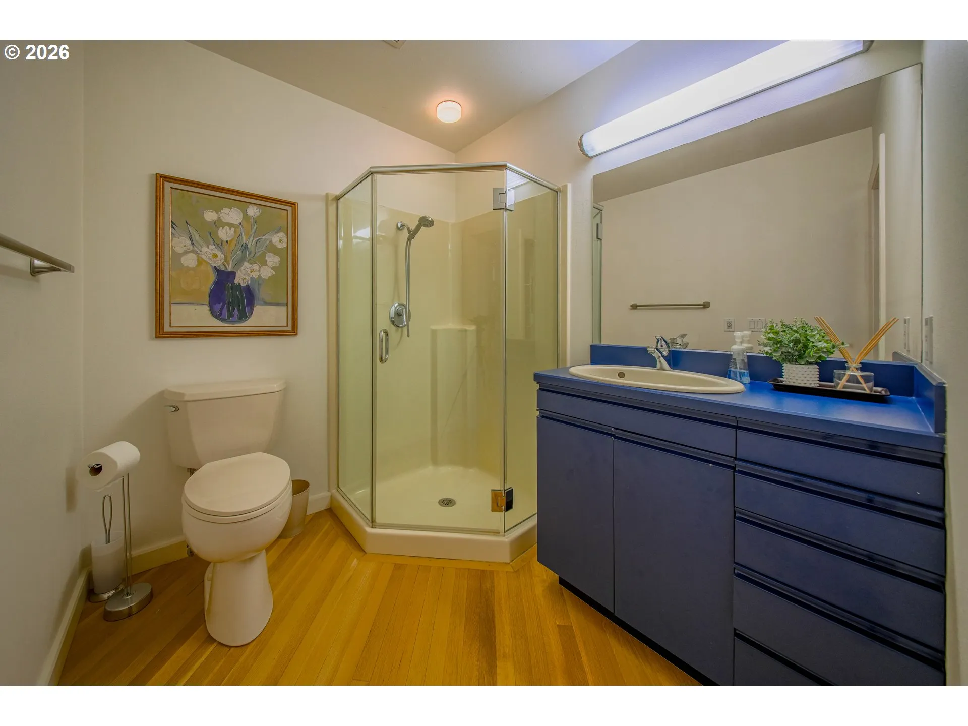 Bathroom-Walk in Shower