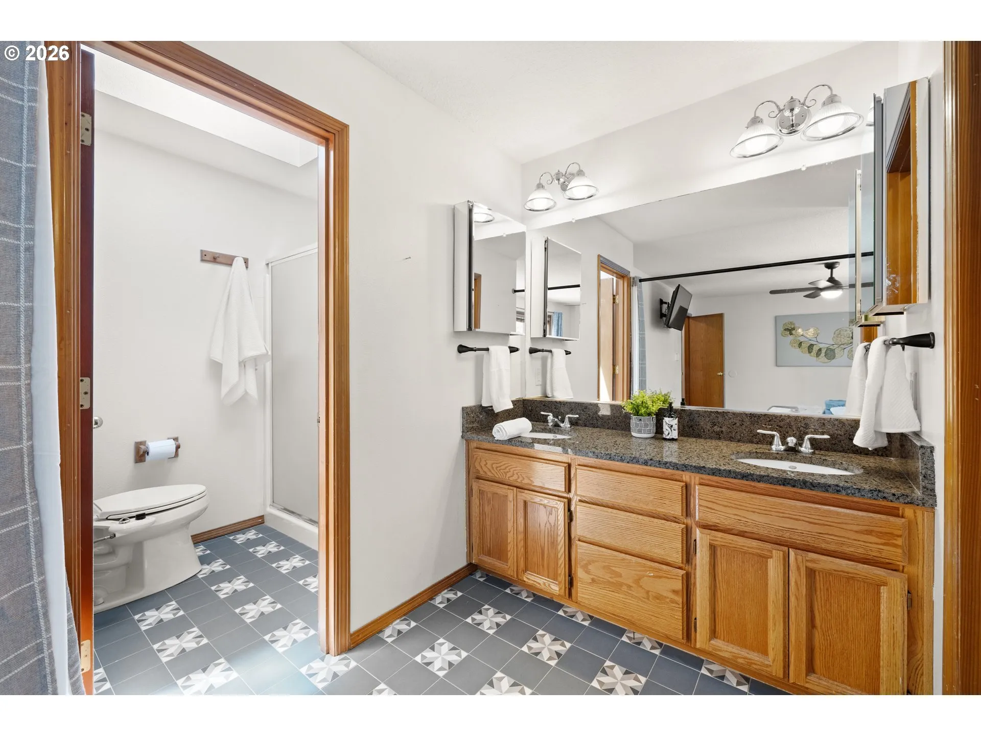 Owner's Suite Bathroom-Walk in Shower