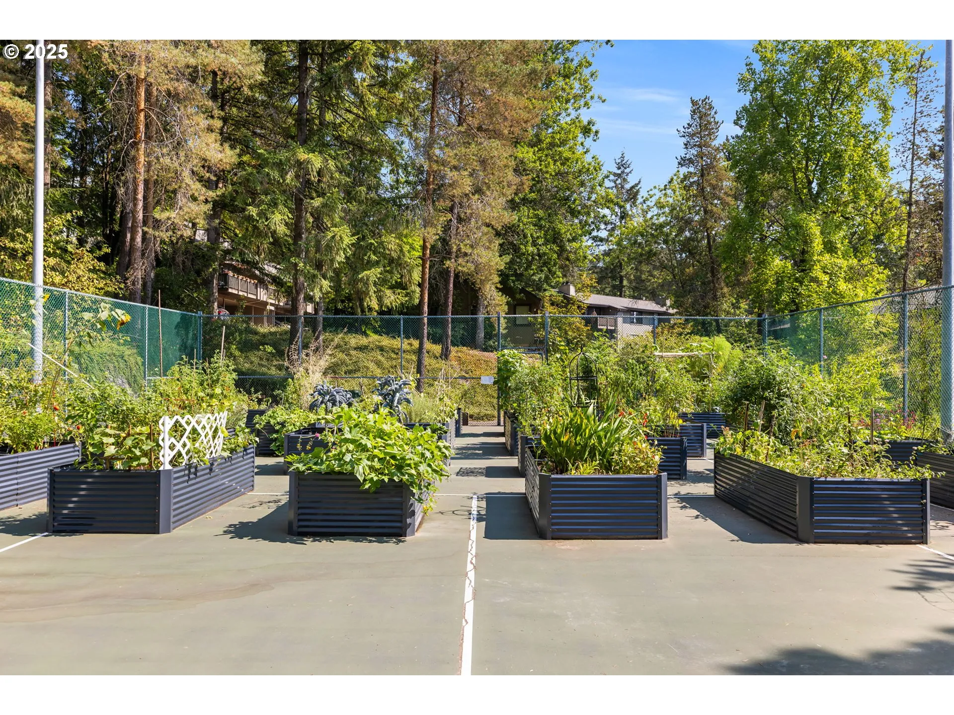 Community Garden