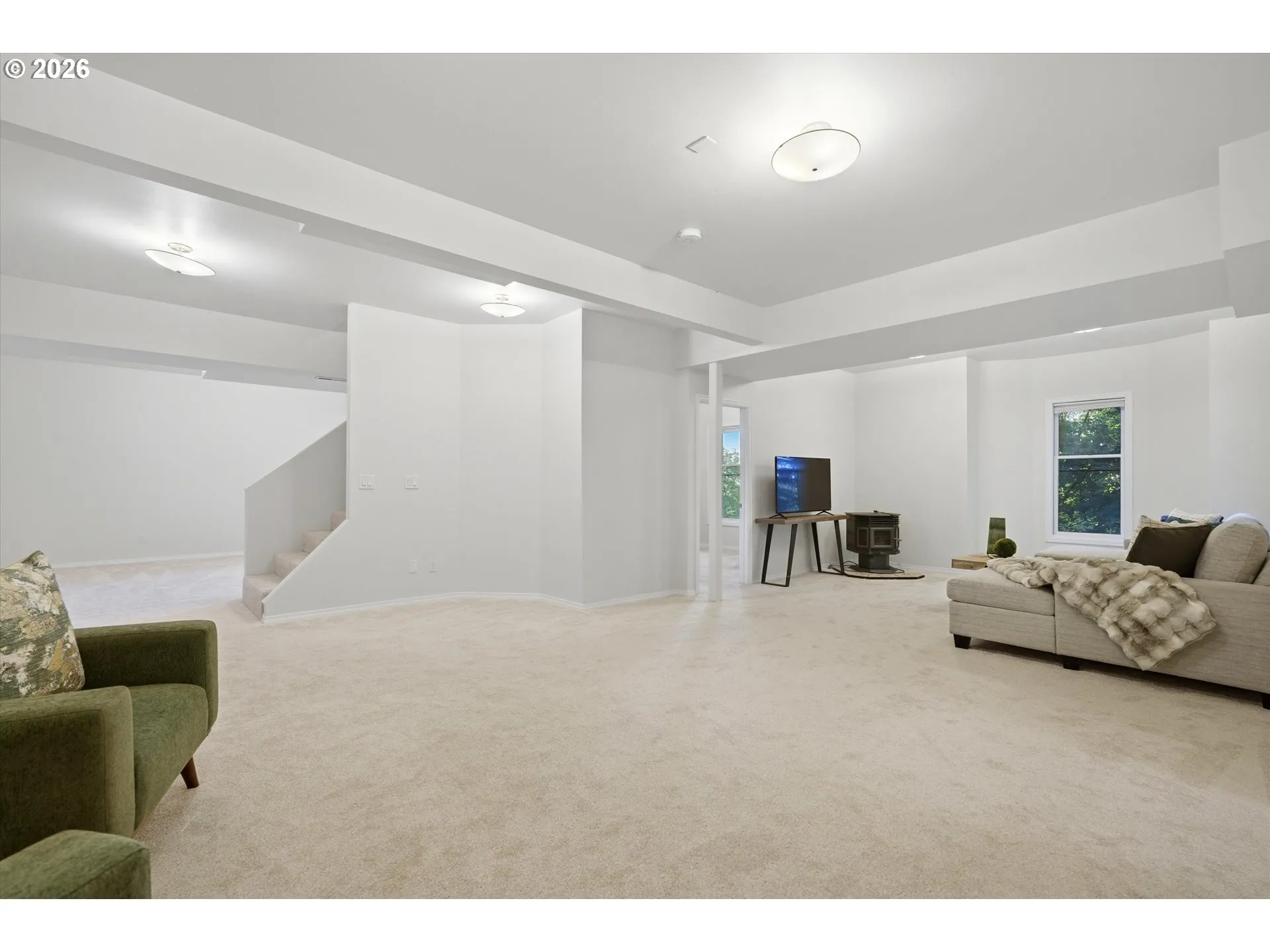 Basement-Finished