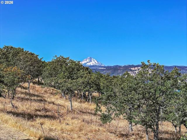 View-Mountain