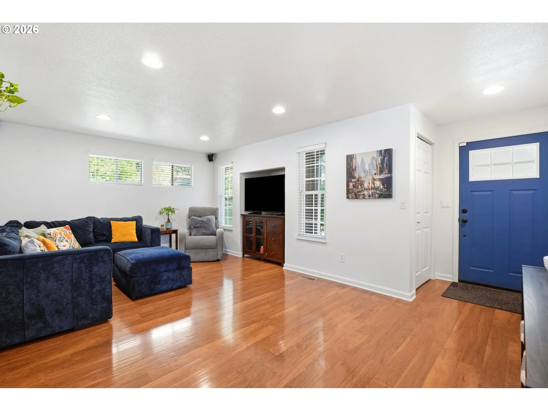 Living Room/Entrance