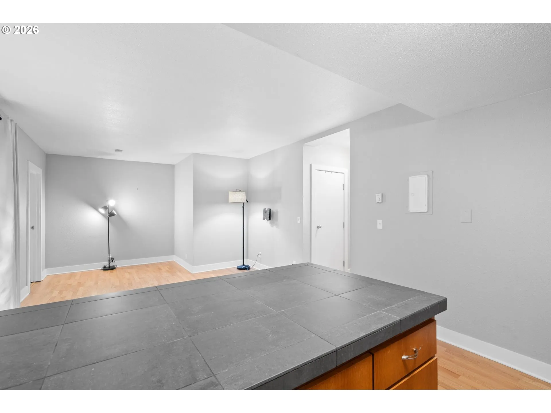 Kitchen/Living Room
