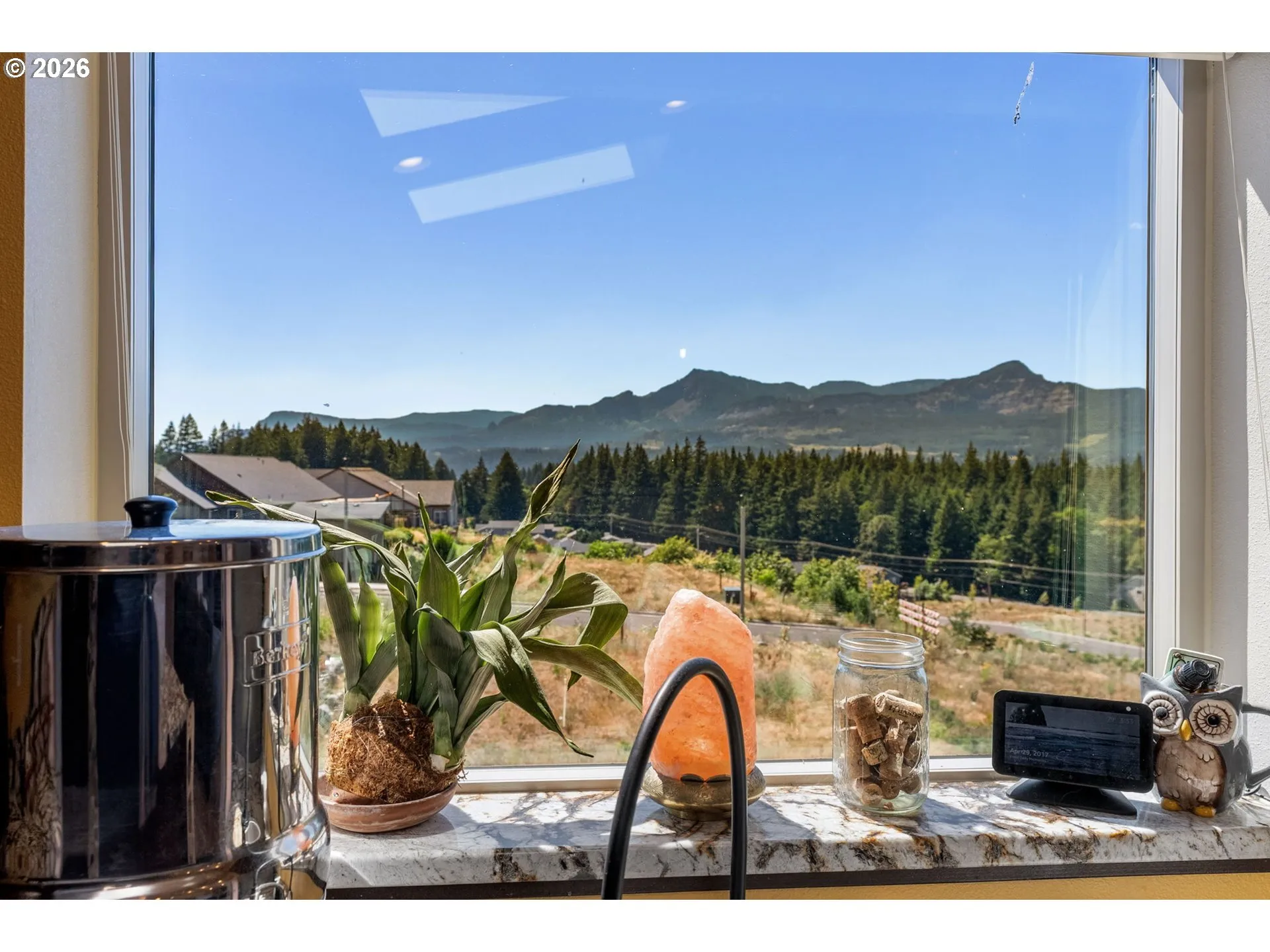 Kitchen-View From
