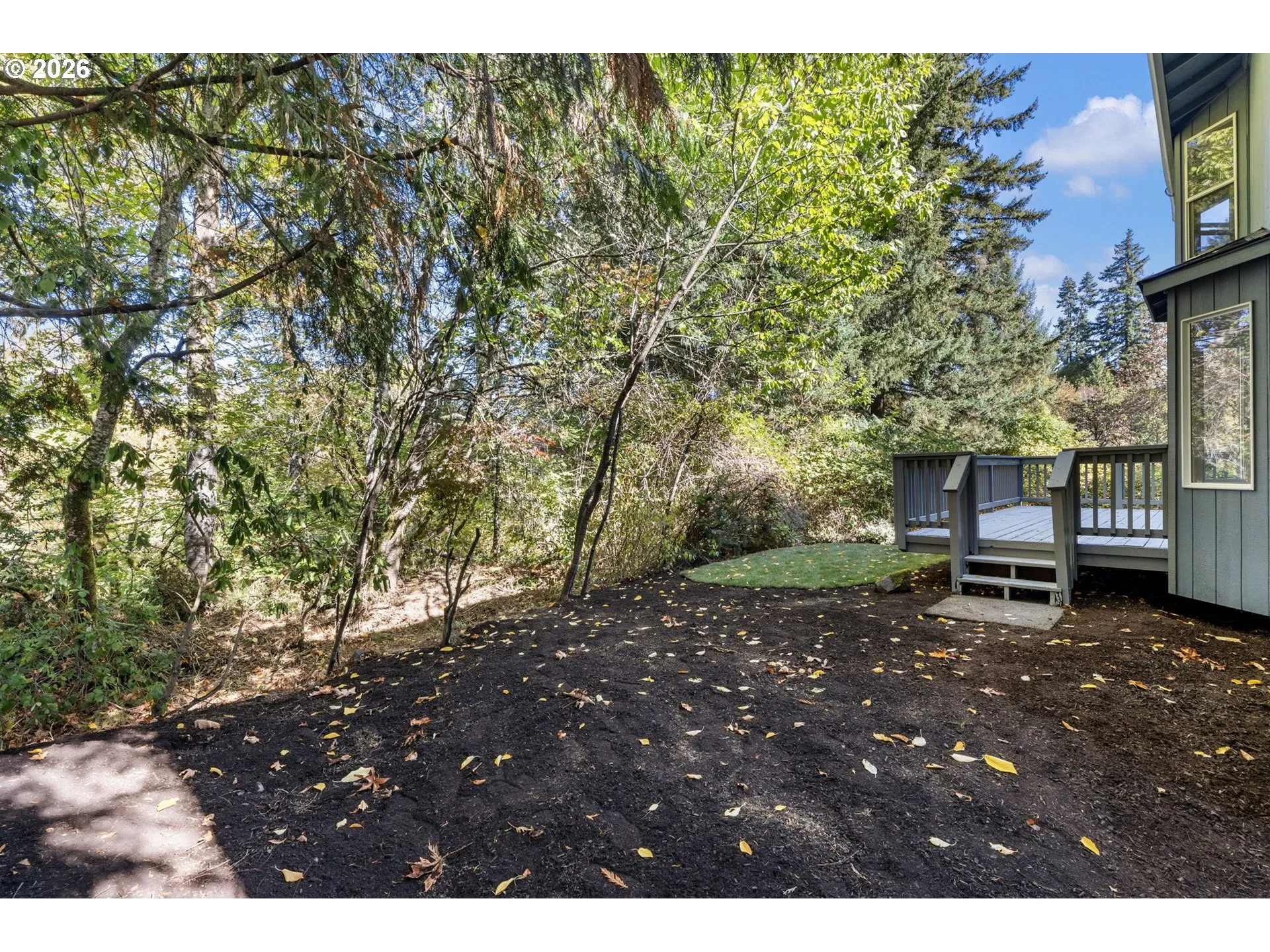 Backyard