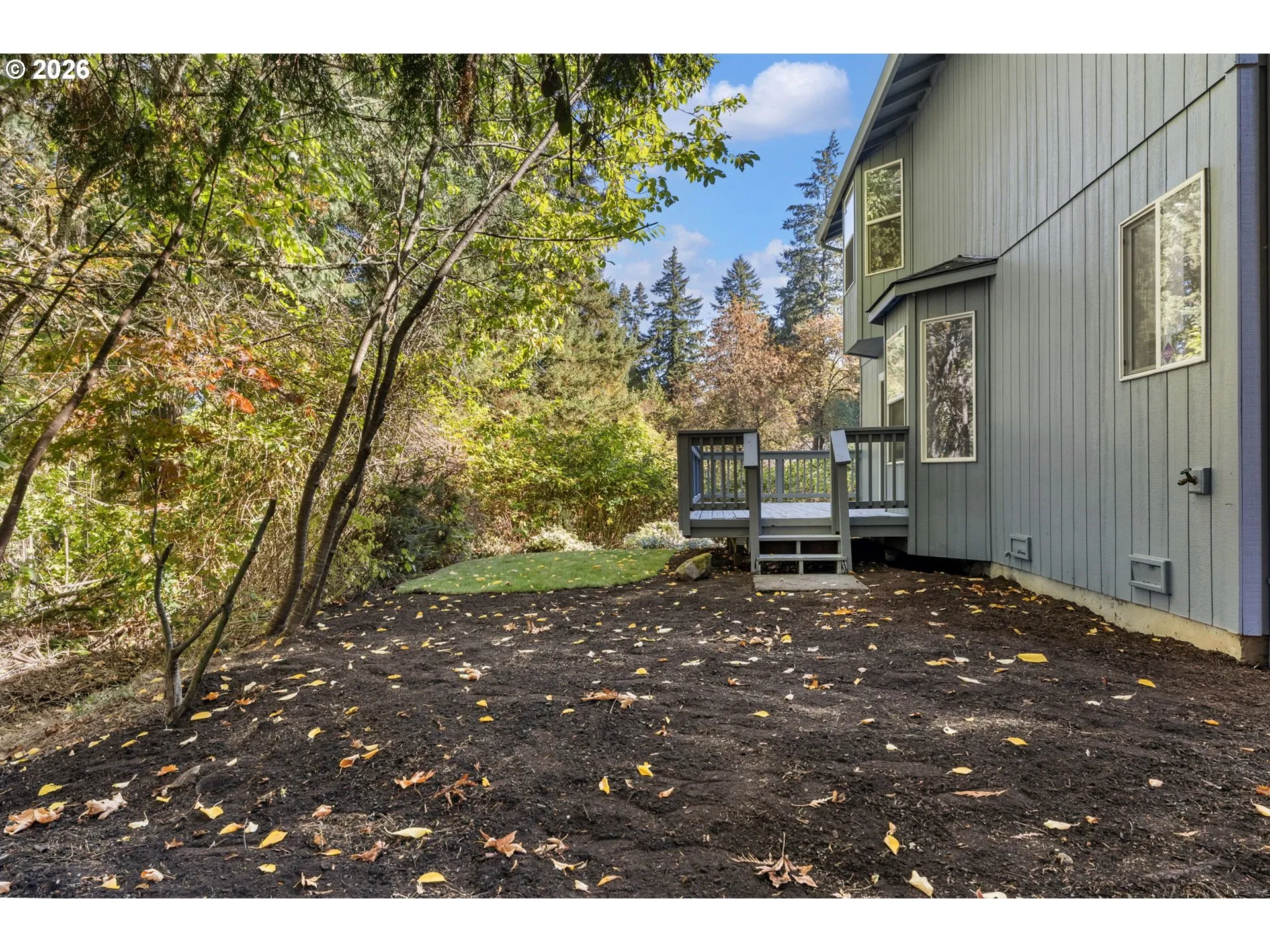 Backyard