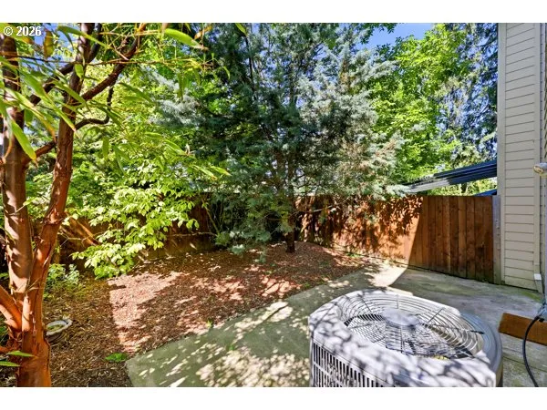 Backyard-Fenced
