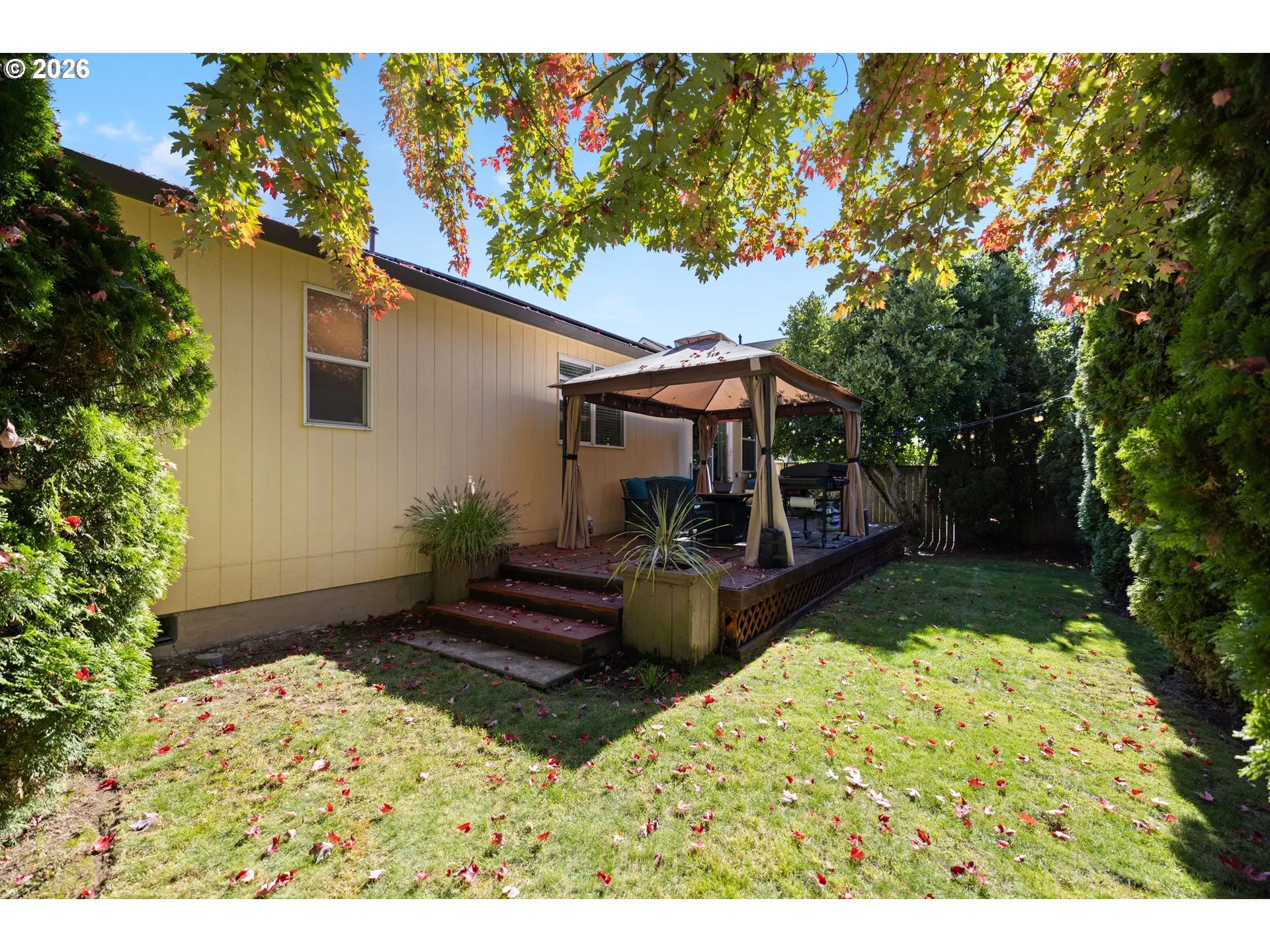 Backyard-View From
