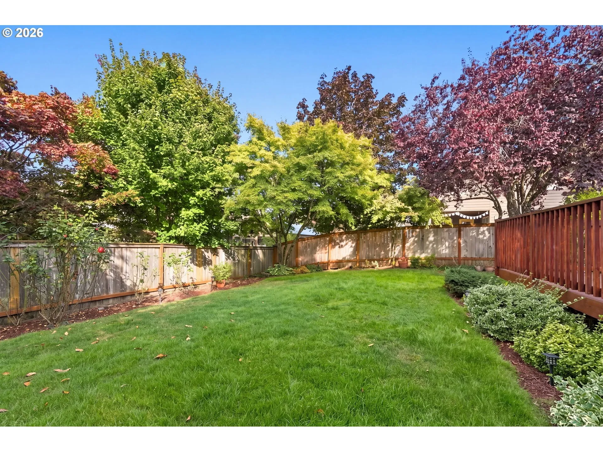 Backyard-Fenced