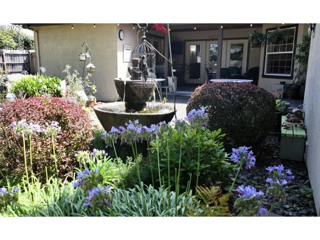 Water Feature