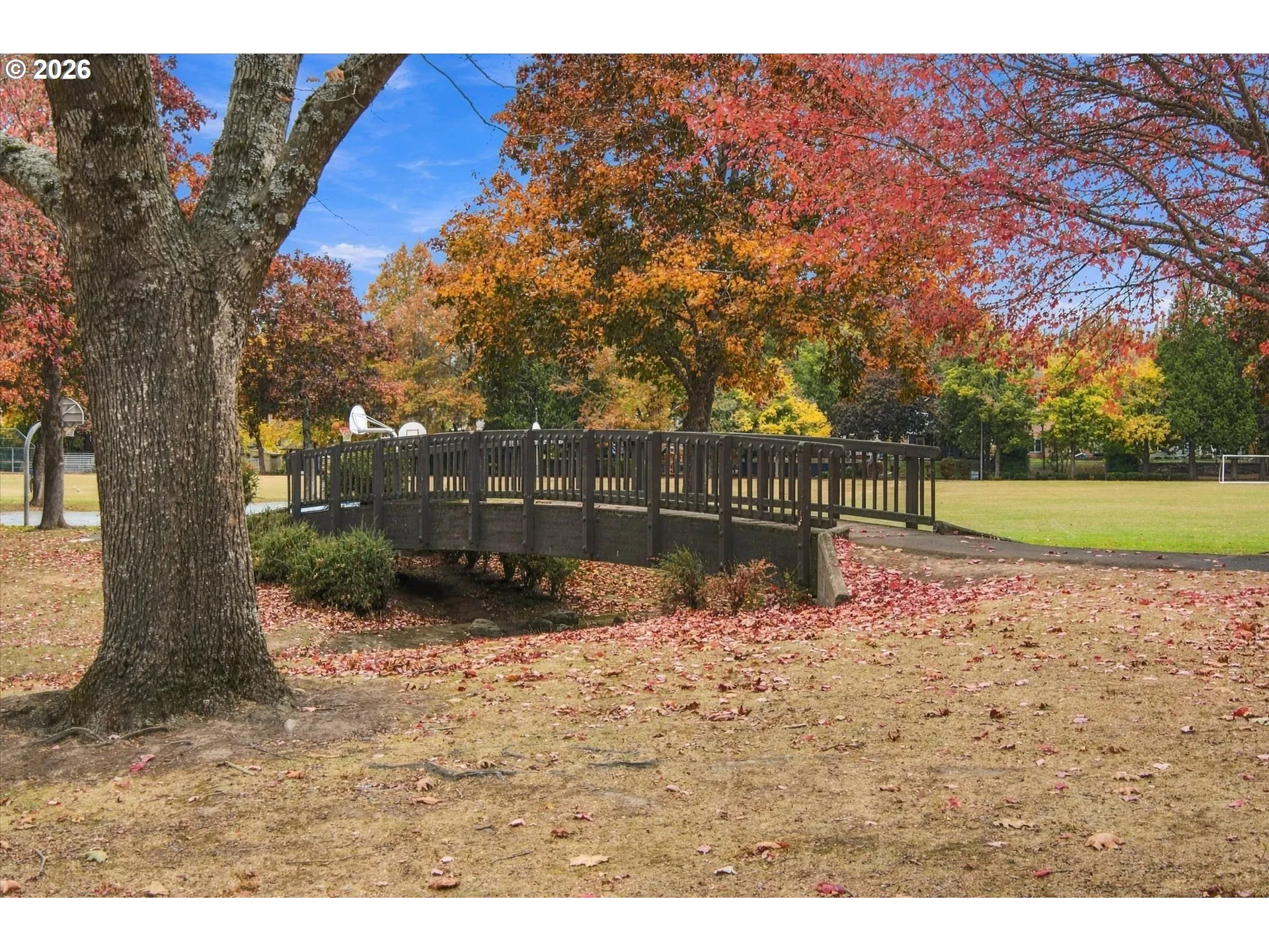 Community Park