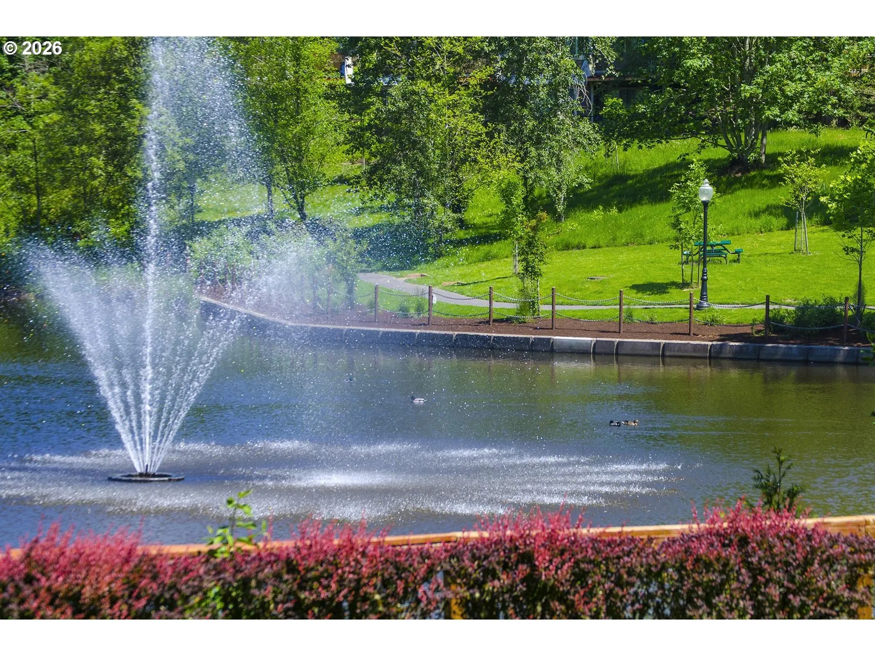 Community Park