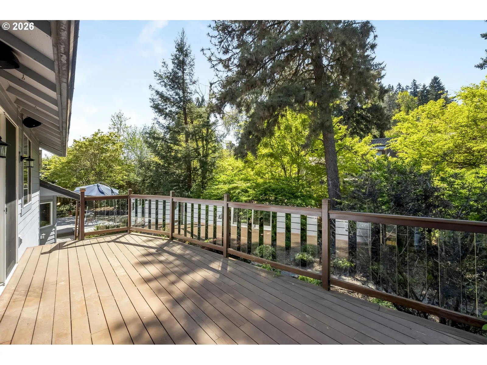 Backyard-View From