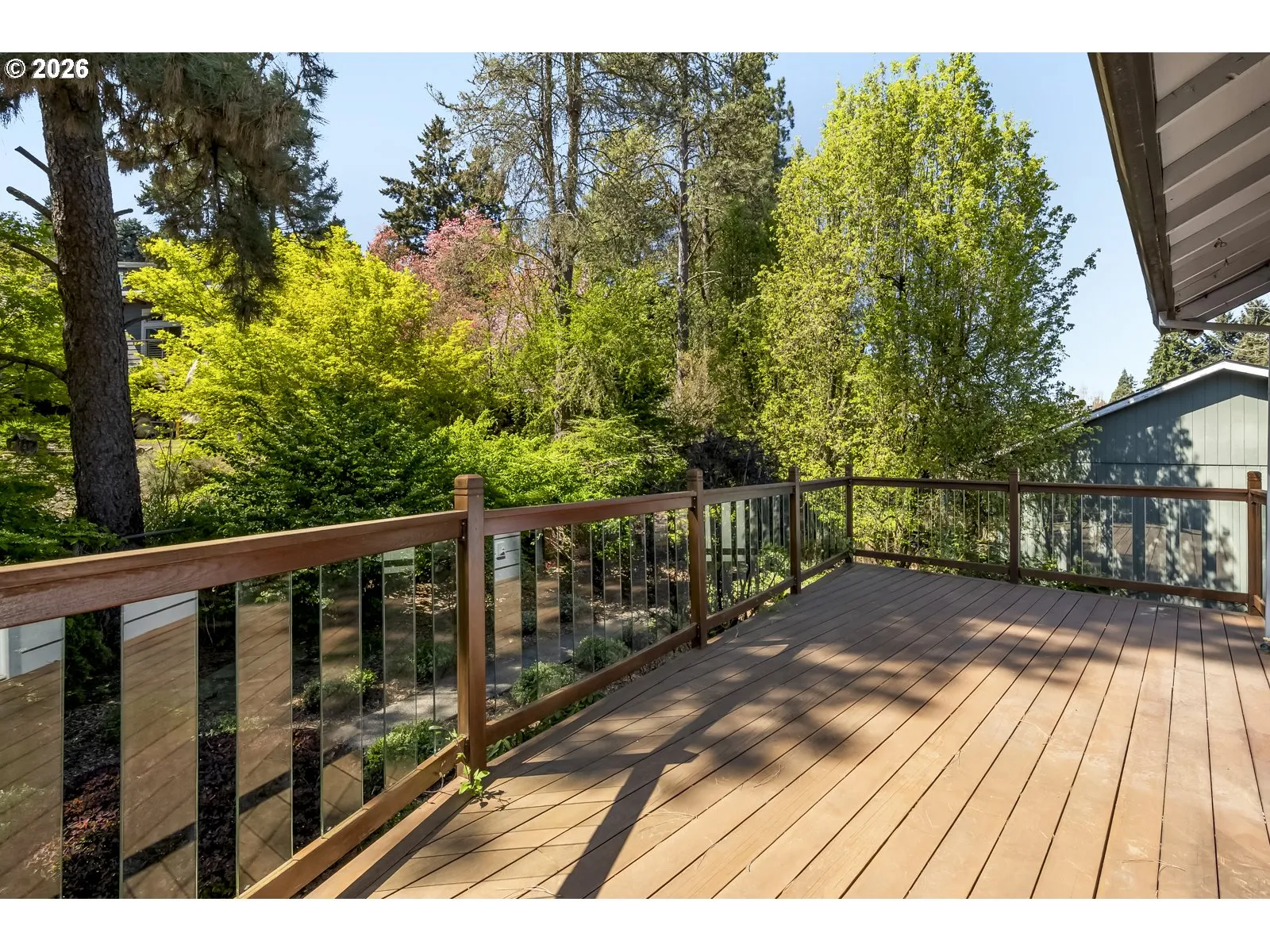 Backyard-View From