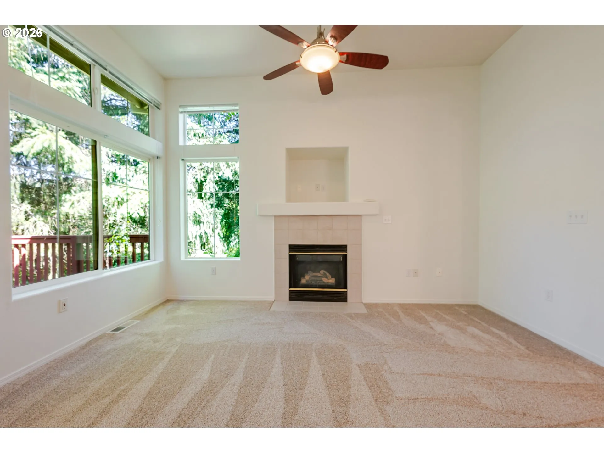 Living Room-Fireplace