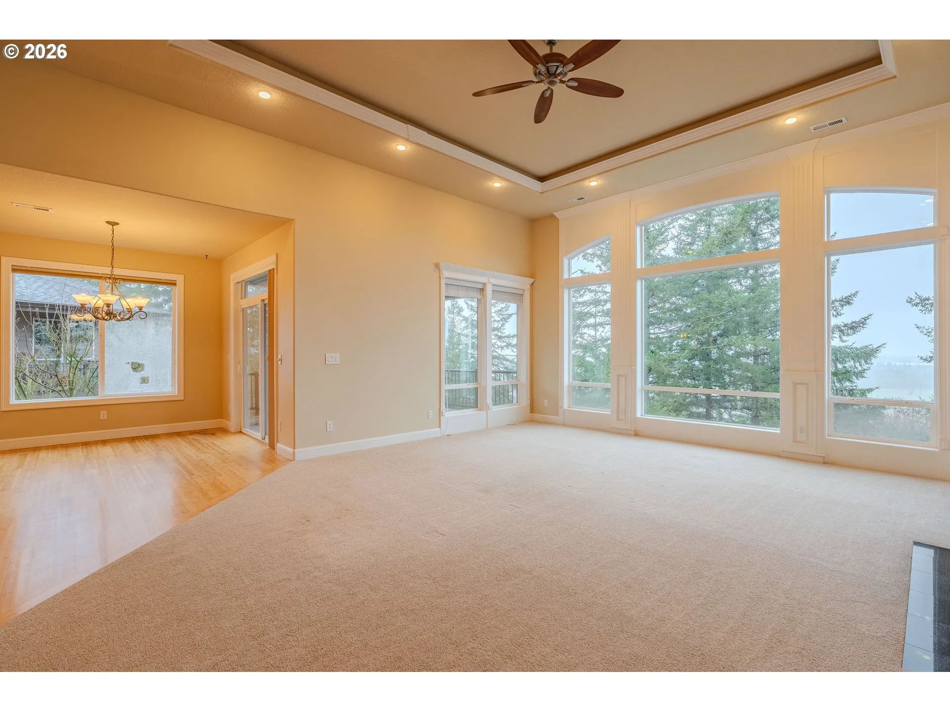 Living Room-View From