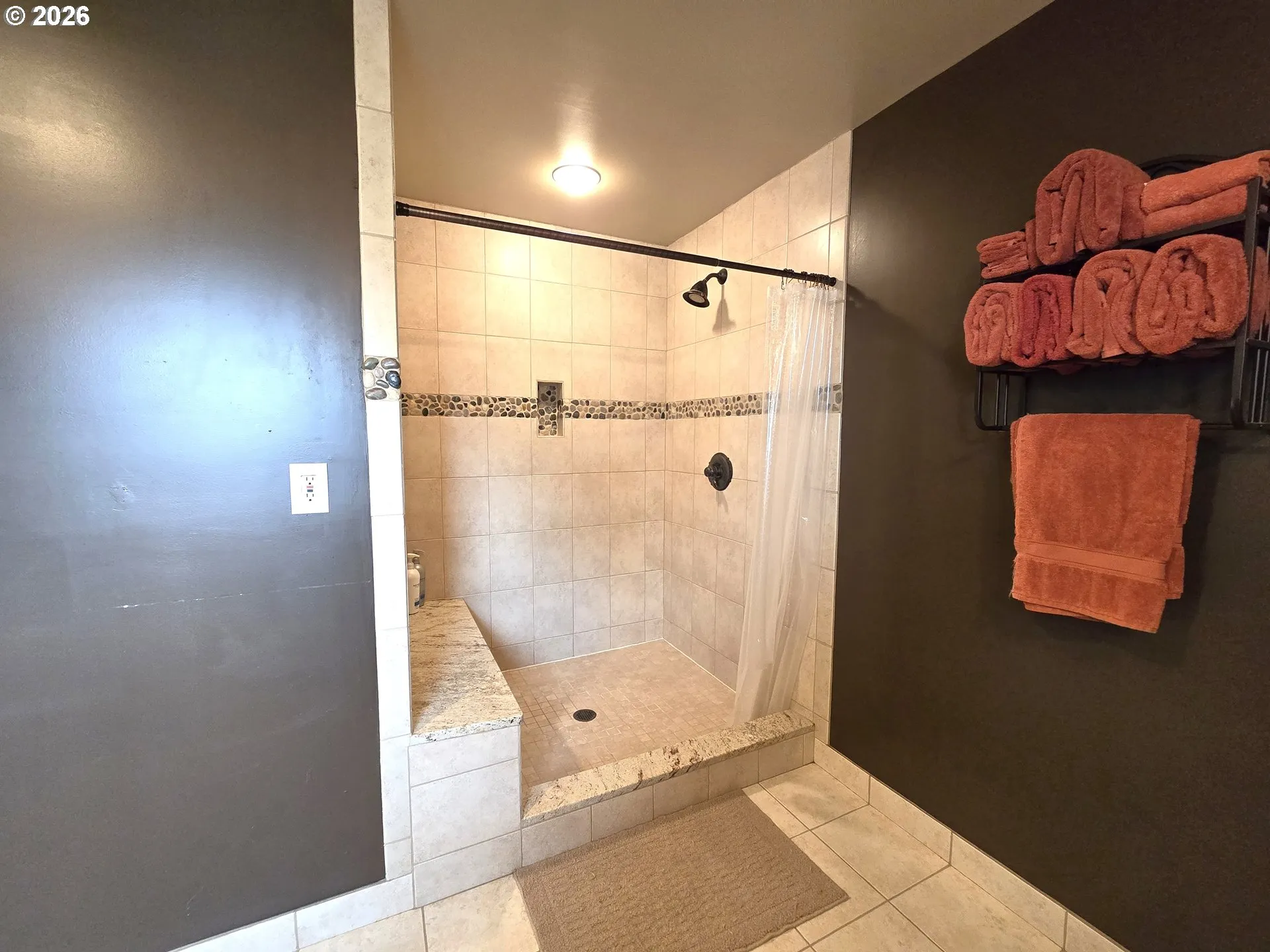 Owner's Suite Bathroom-Walk in Shower