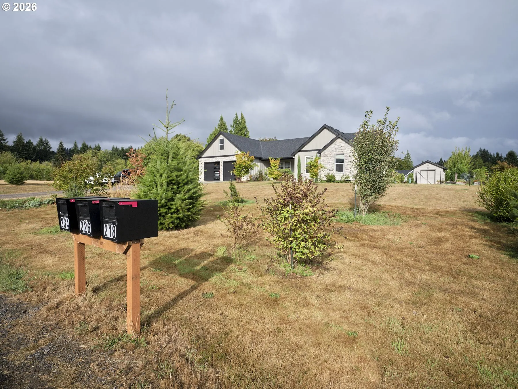 Front Yard