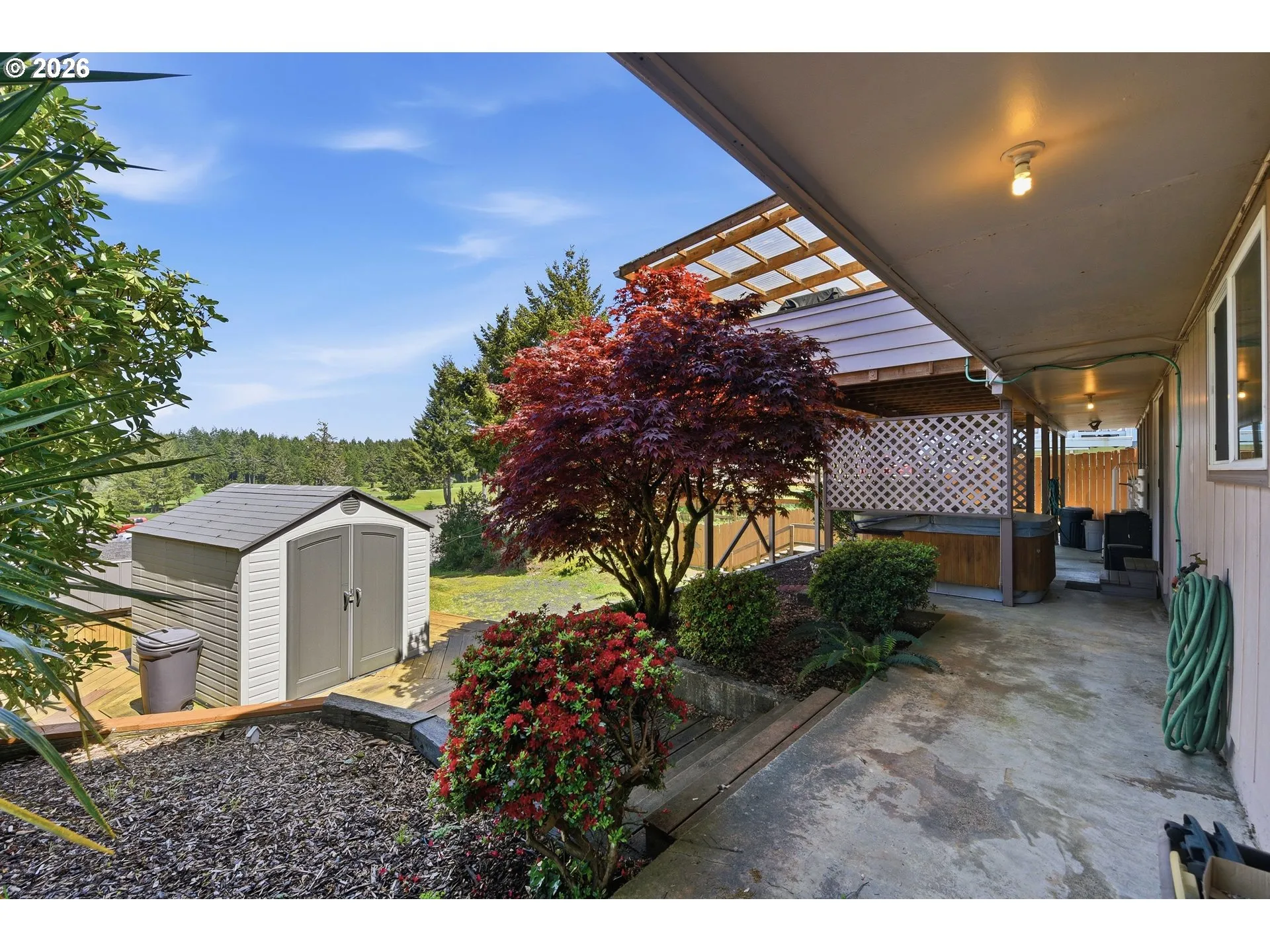 Backyard-View From