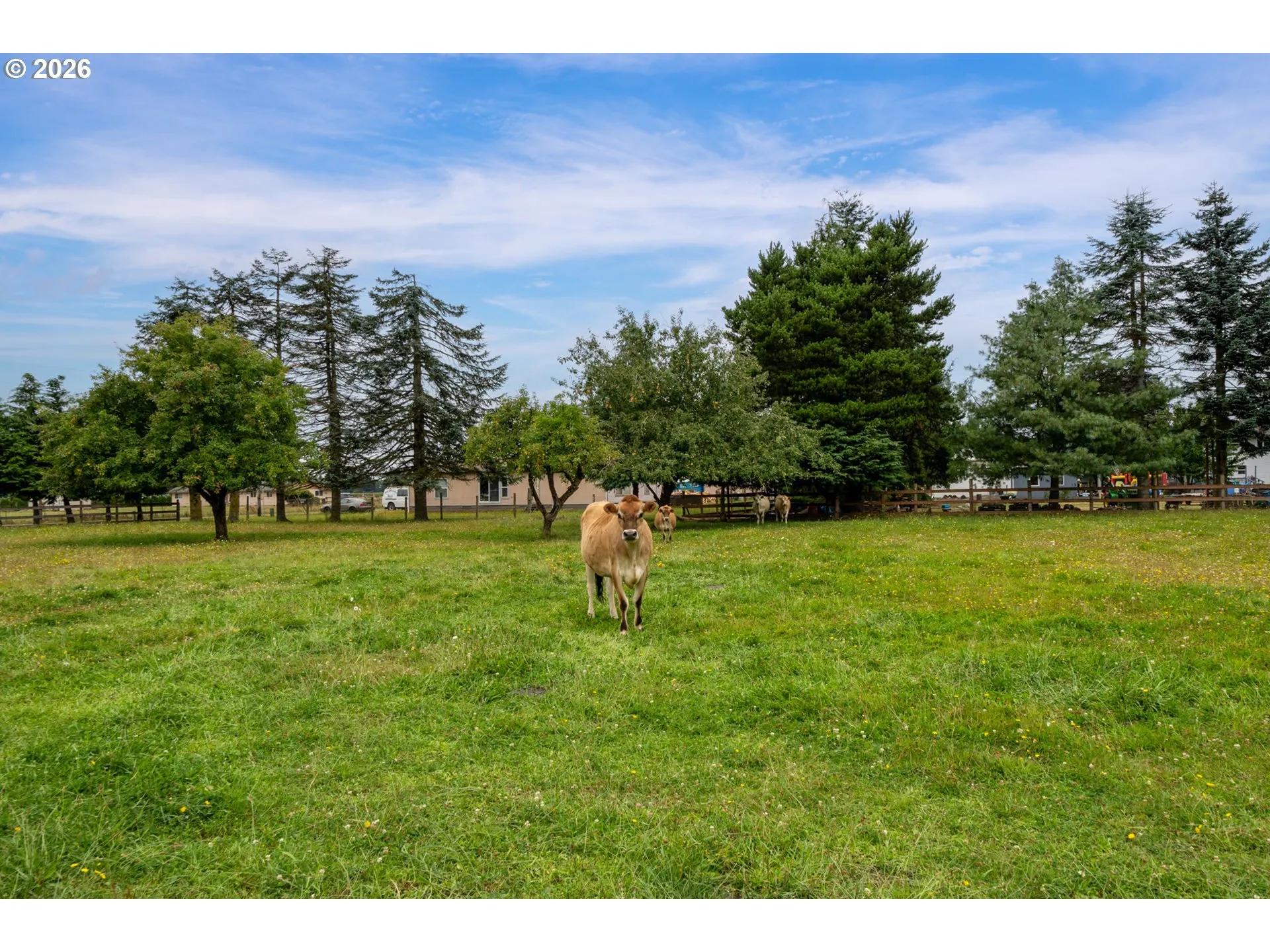 Pasture