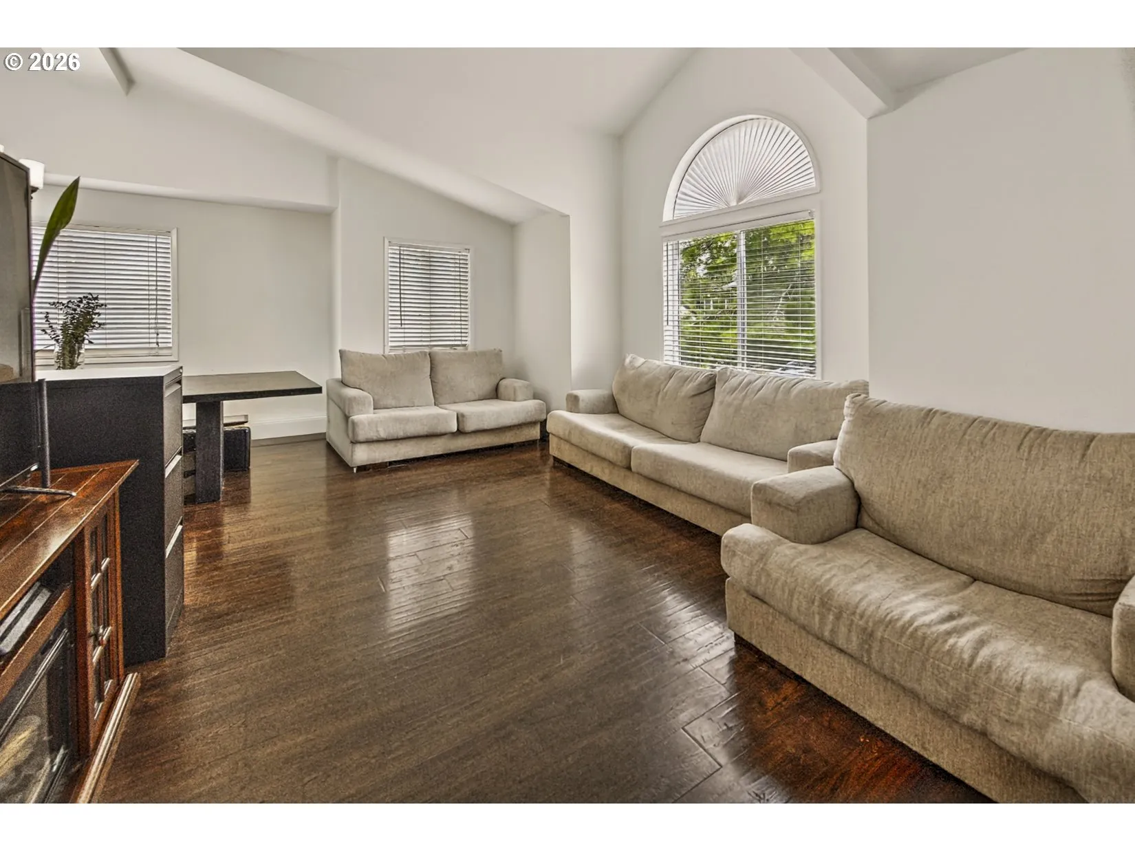 Living Room/Entrance