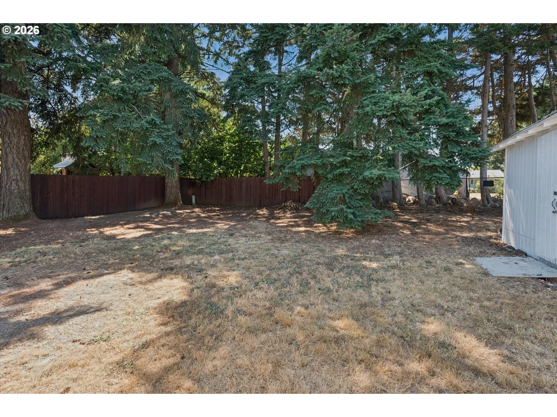 Backyard