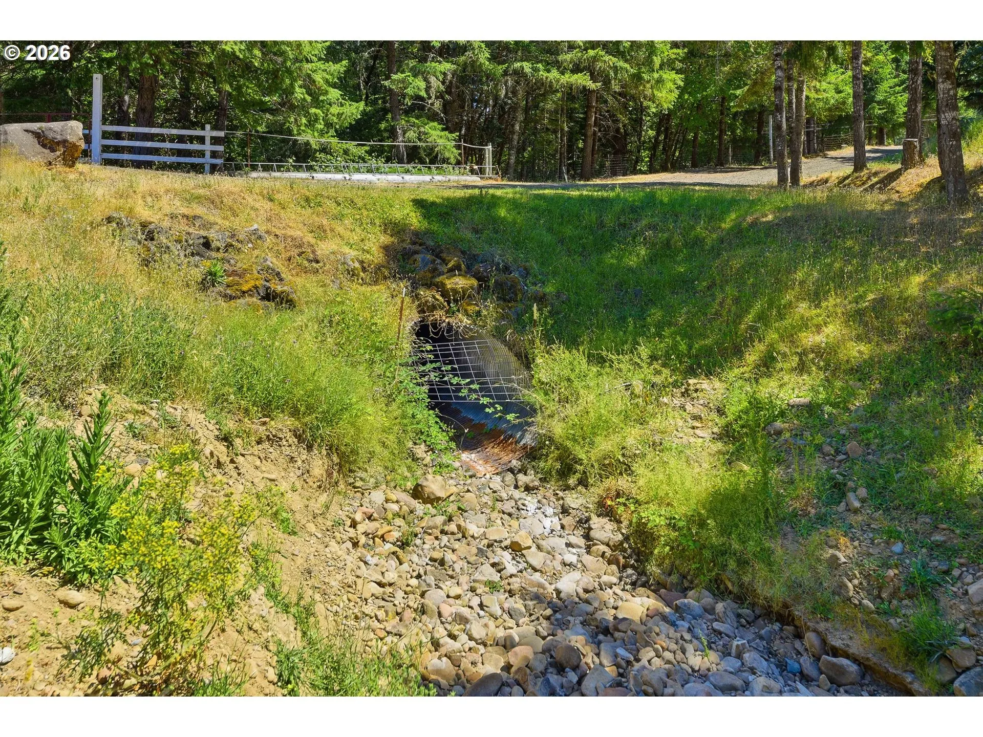 Creek