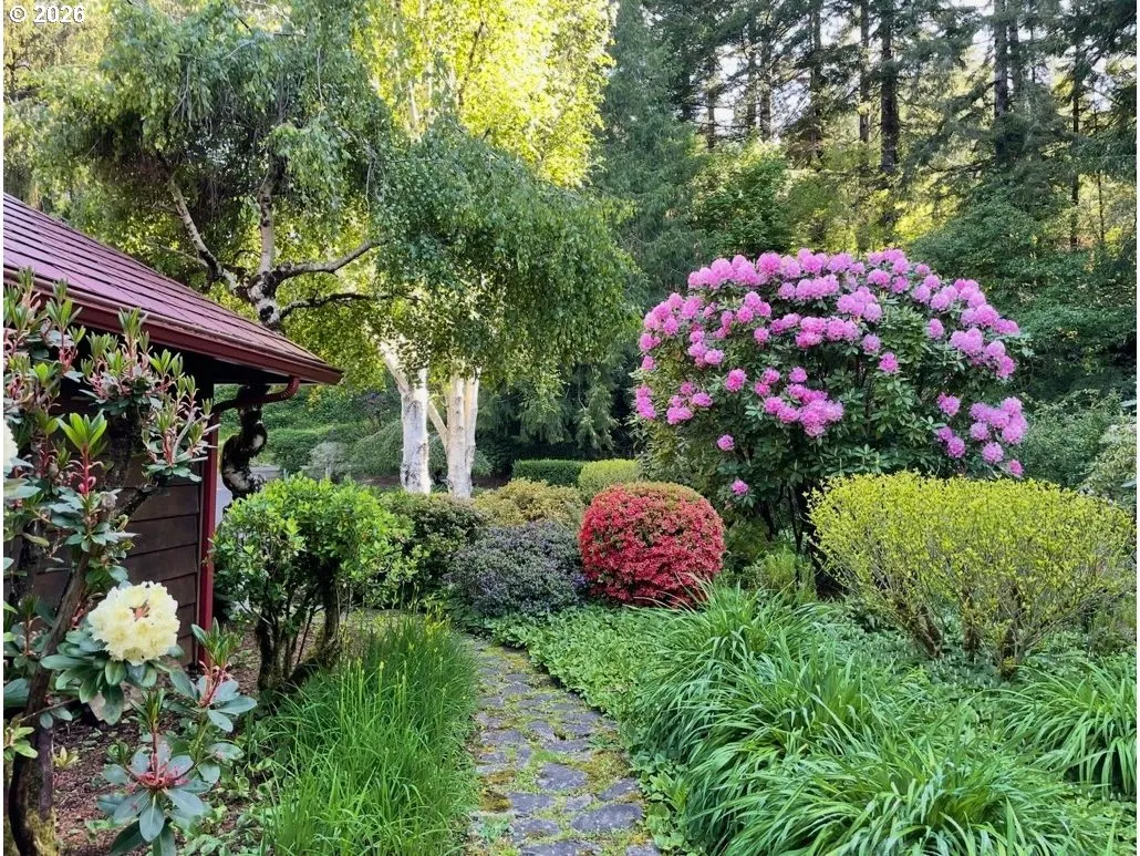 Yard-Landscaped