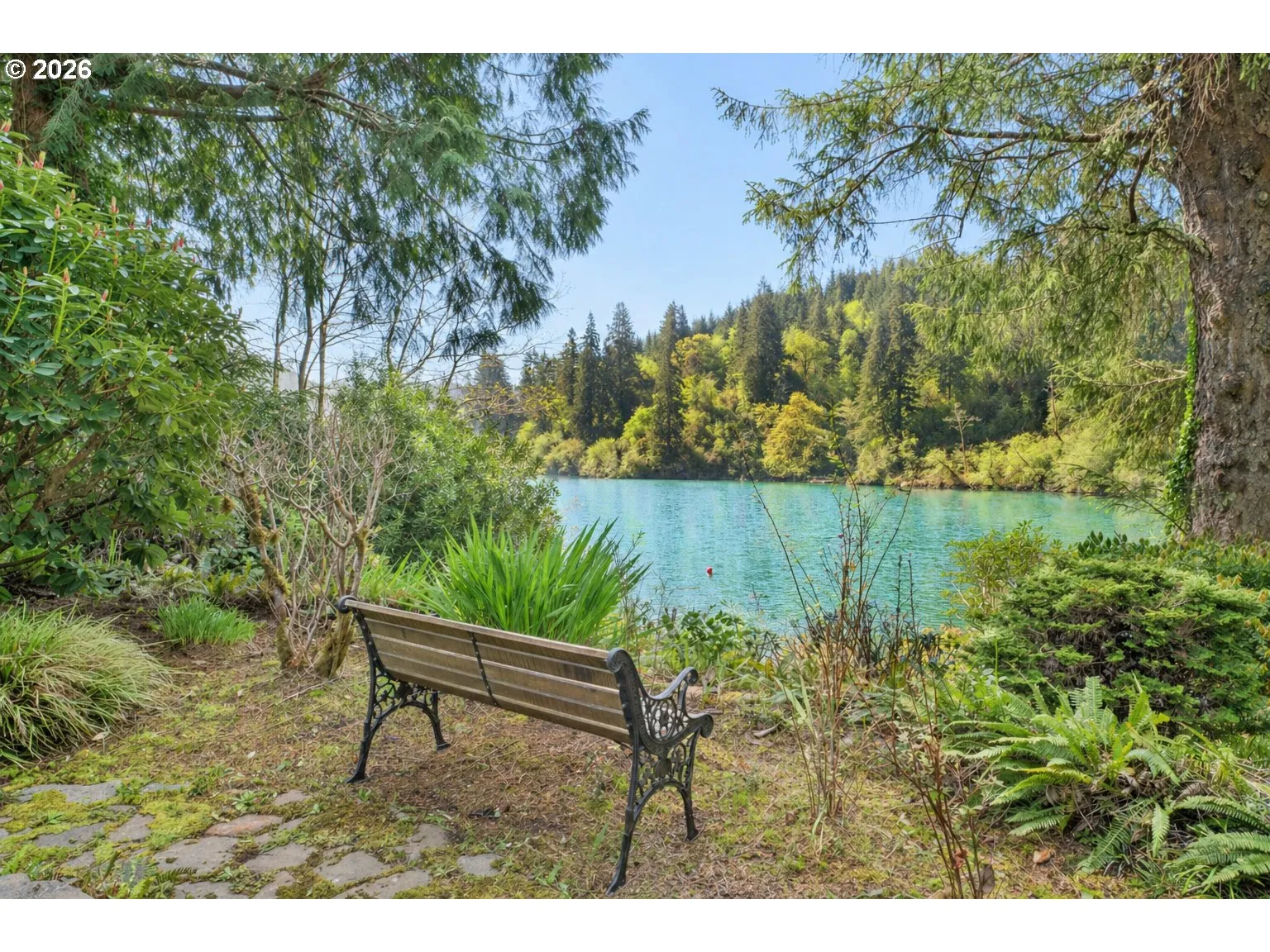 Backyard-View From