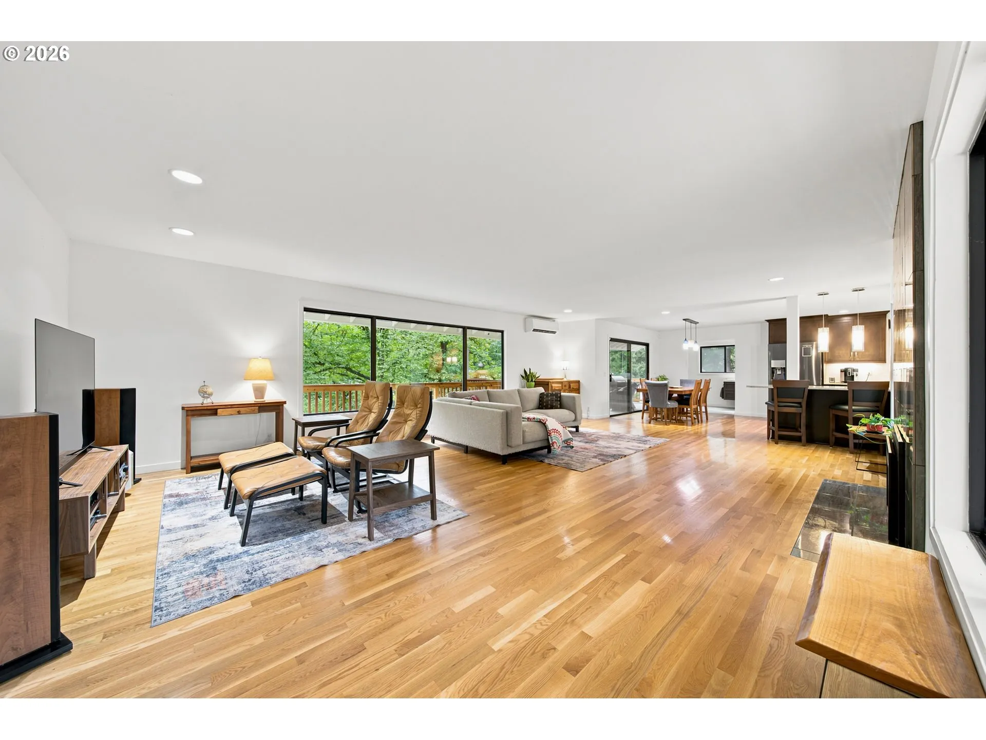 Living Room/Entrance