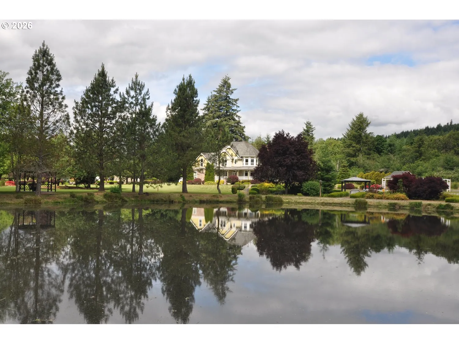 Pond