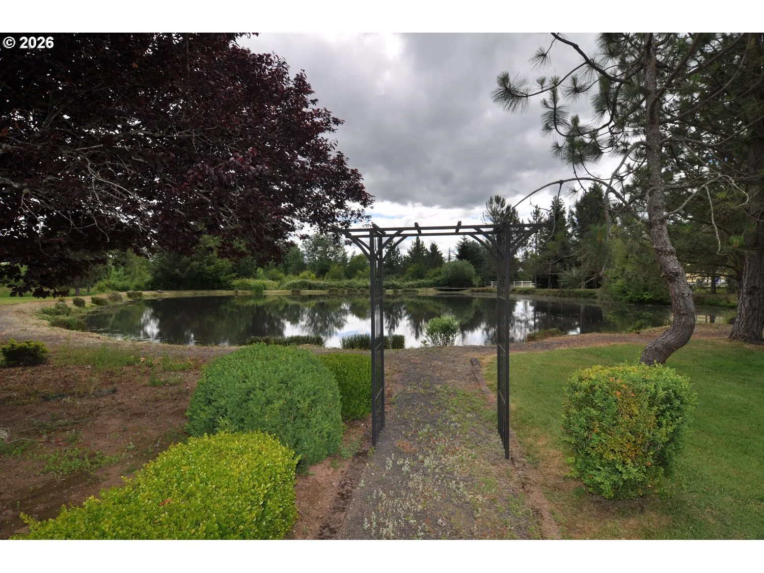 Pond