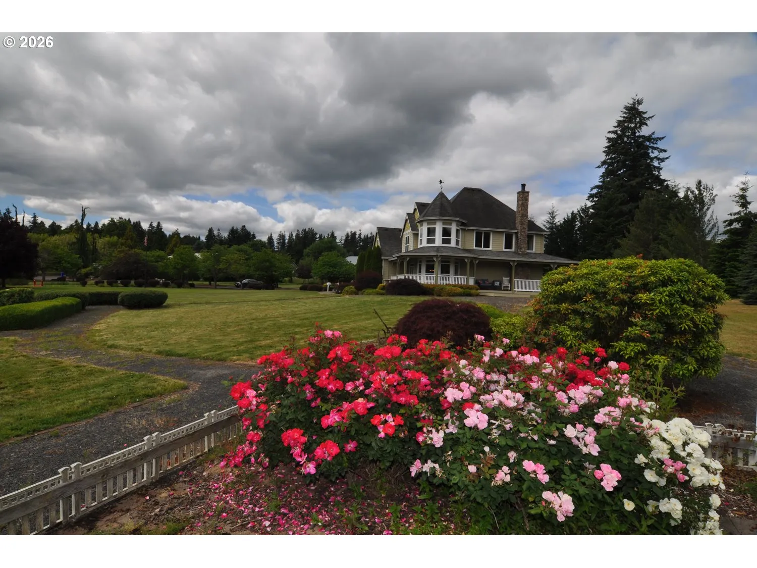 Yard-Landscaped