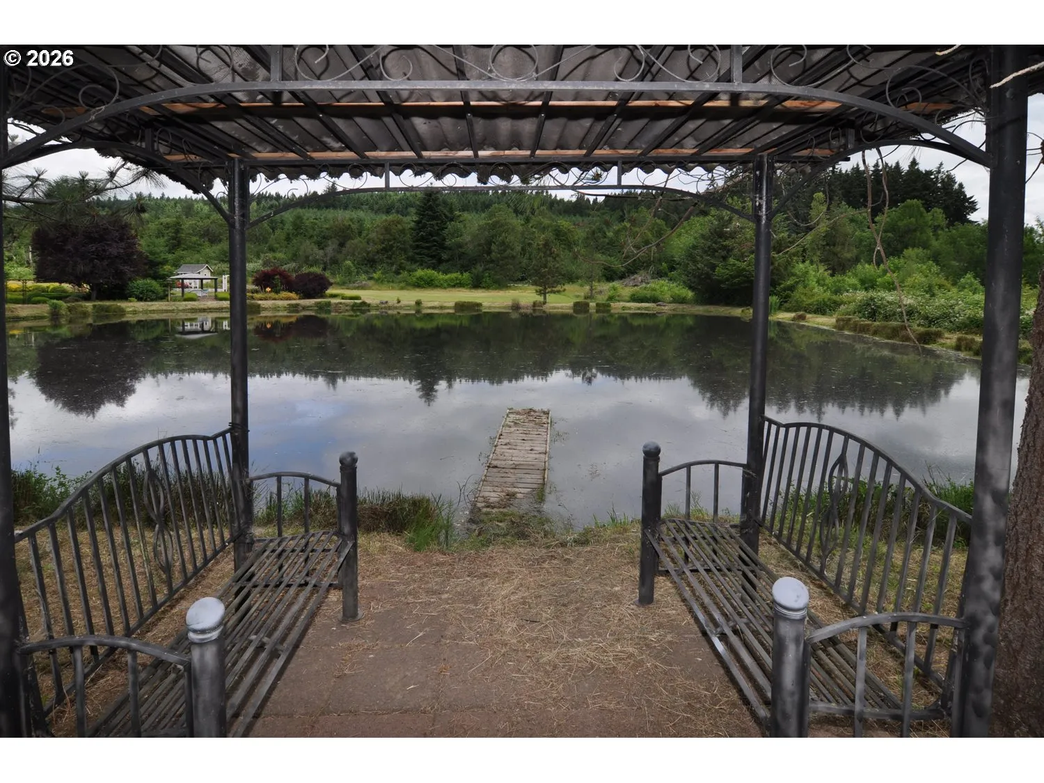 Pond