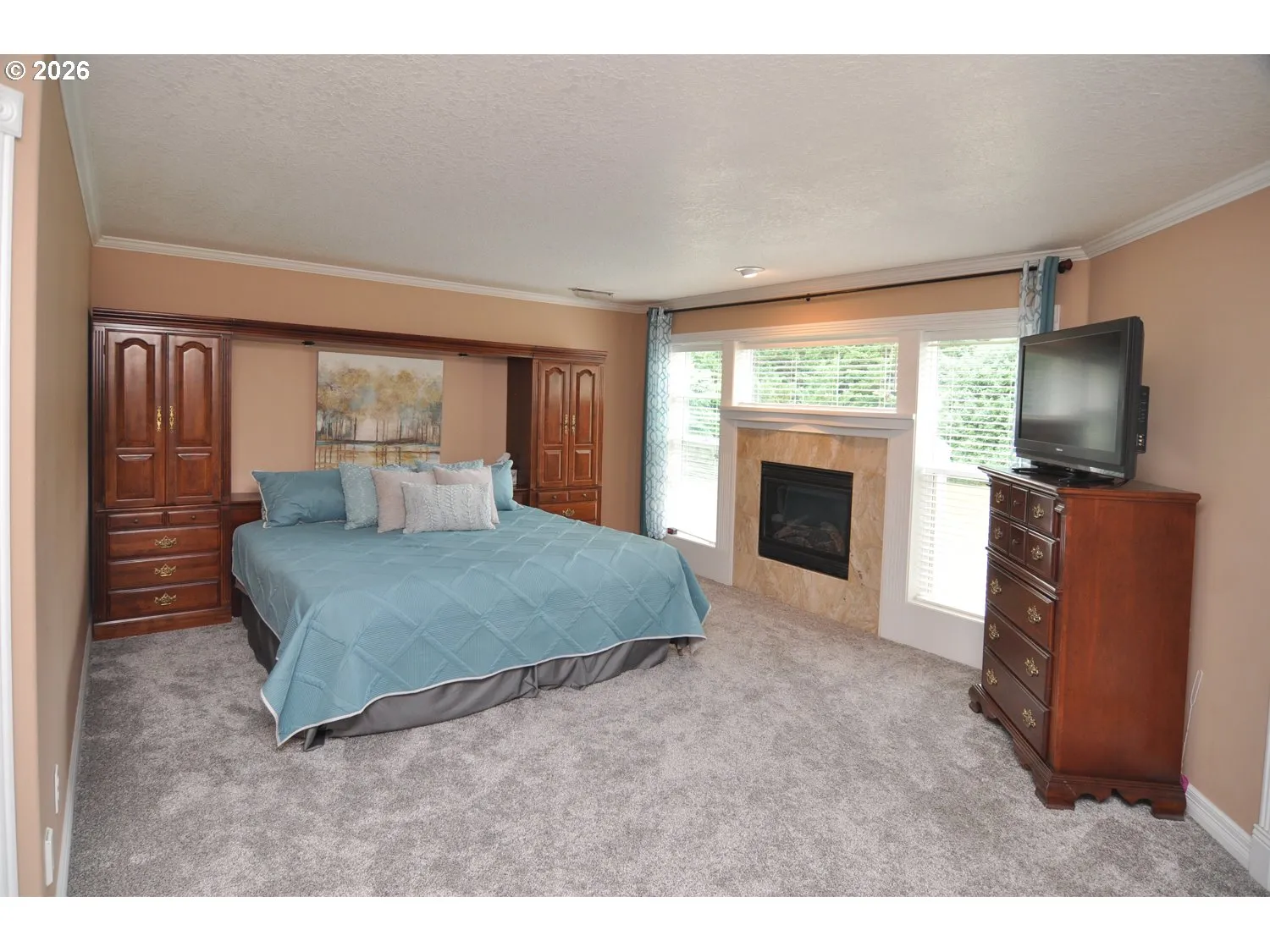 Primary Bedroom-Fireplace