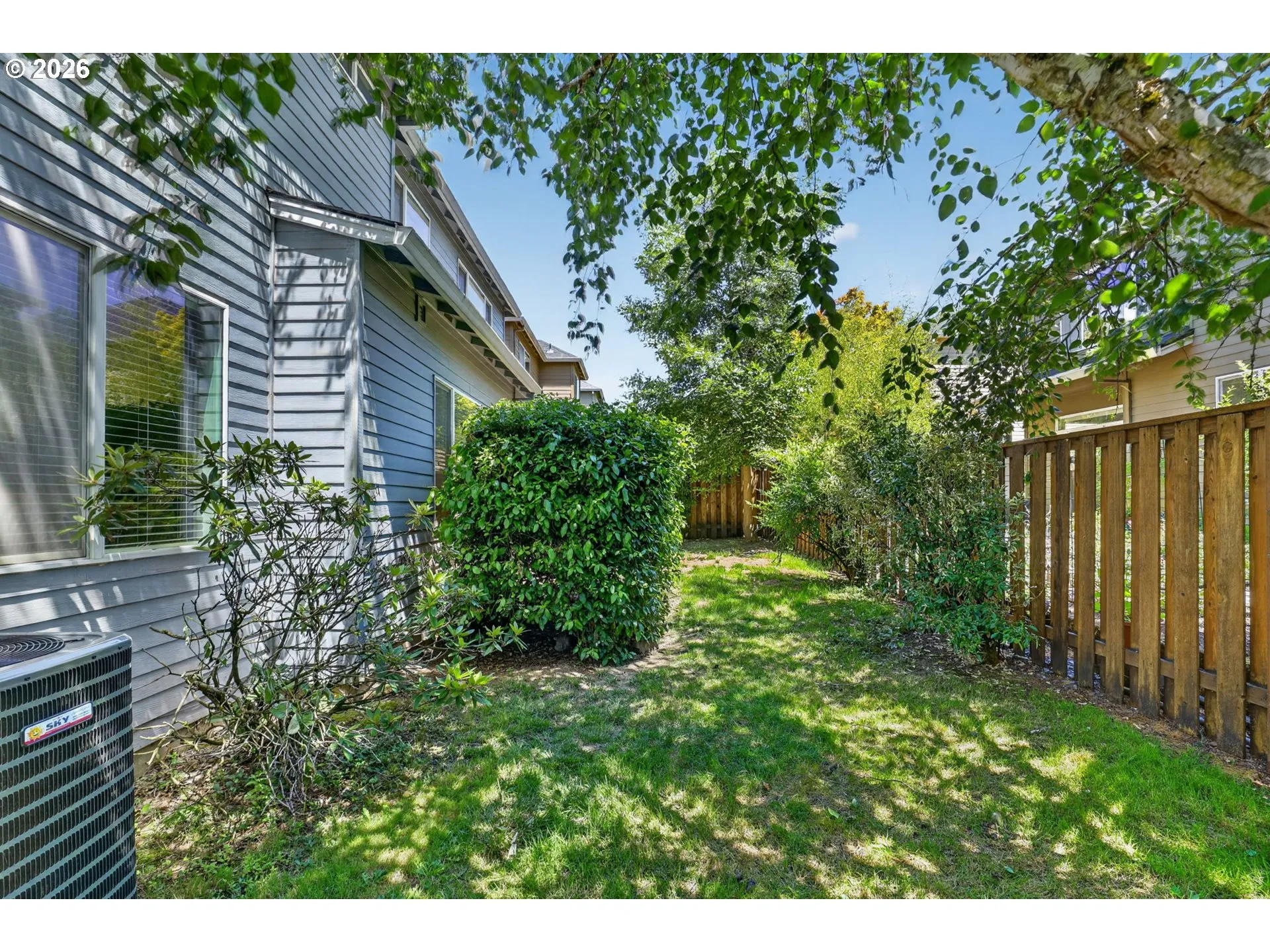 Backyard-View From