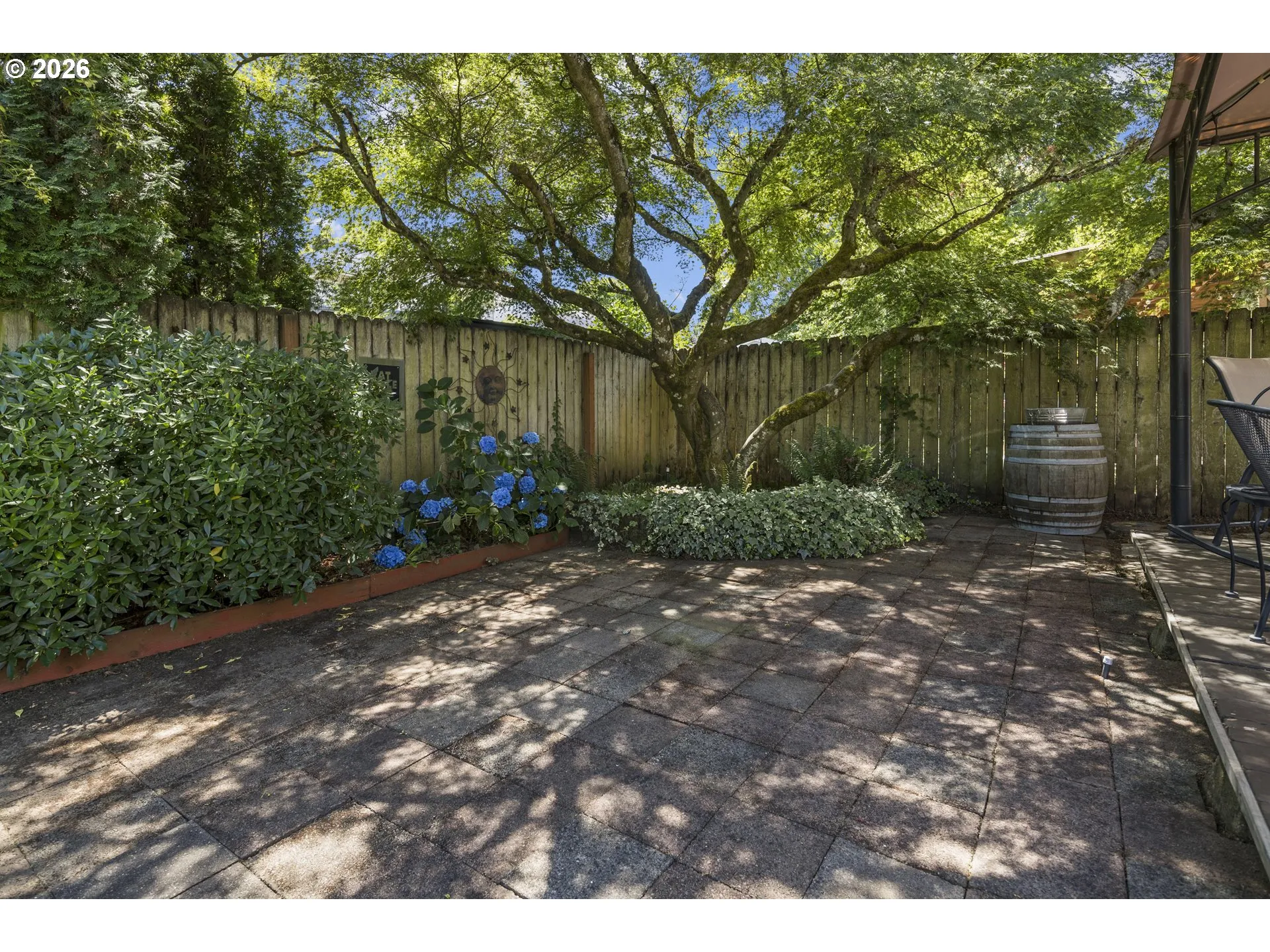 Backyard