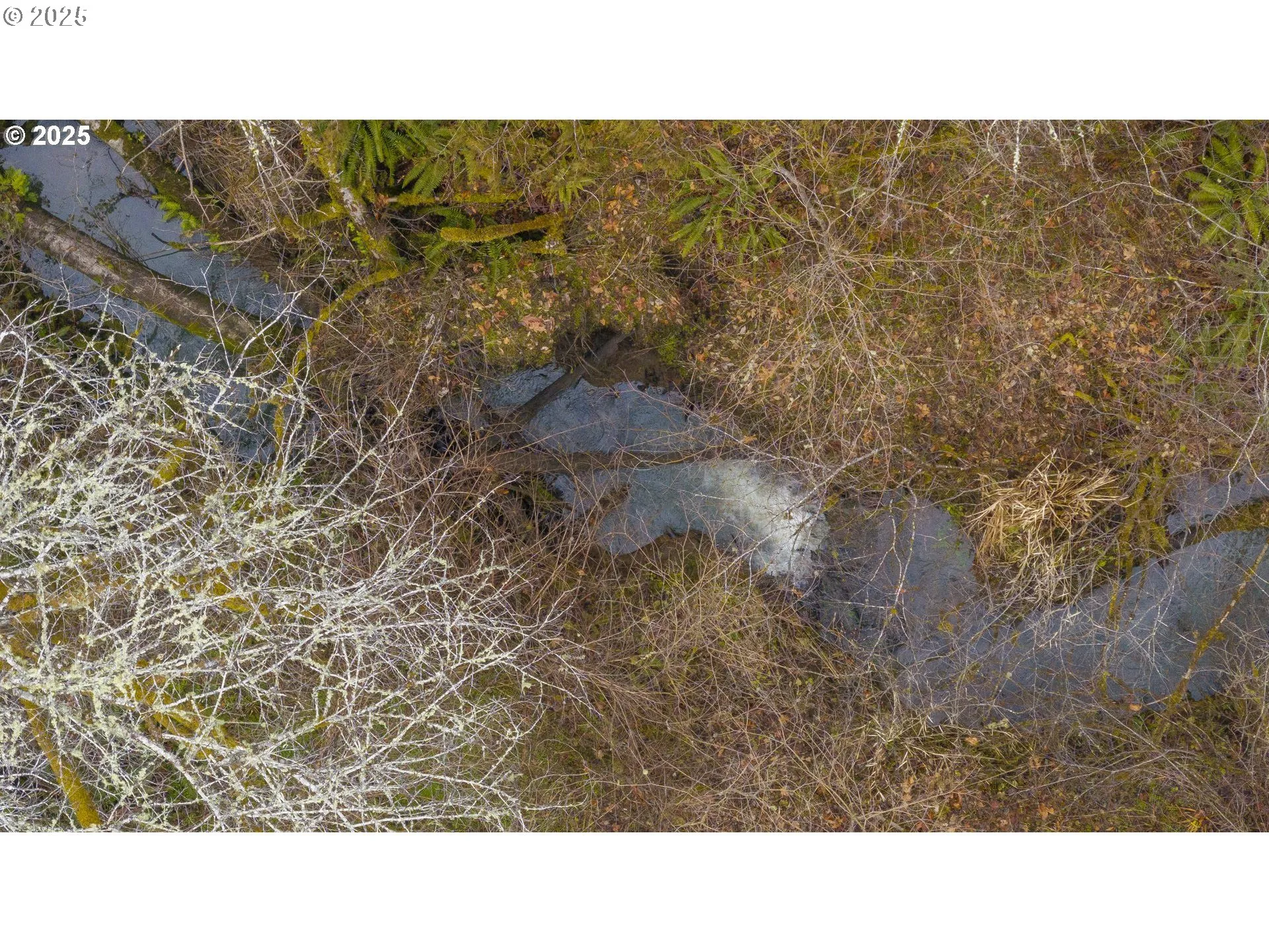 Creek-Front