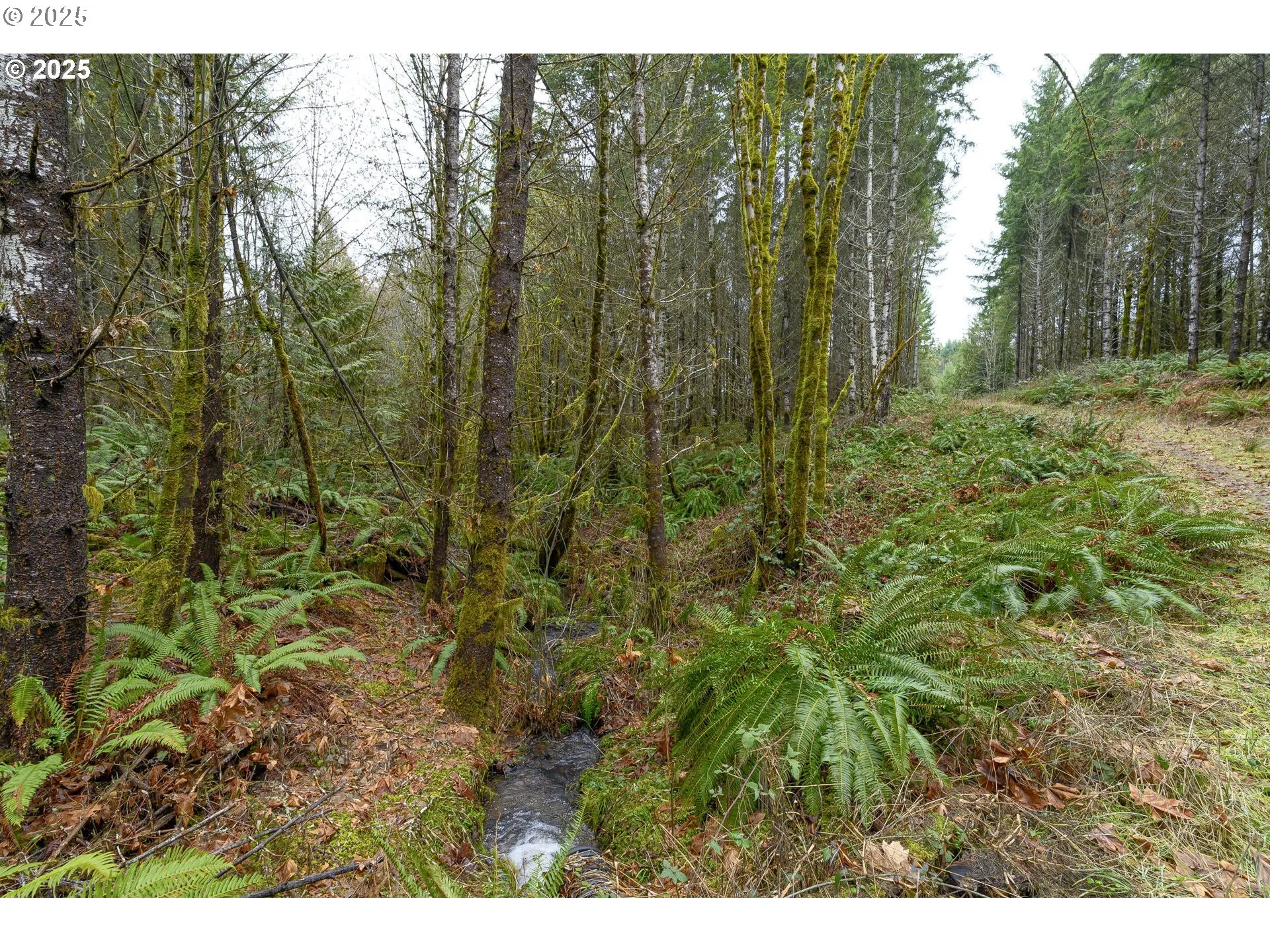 Creek-# 1