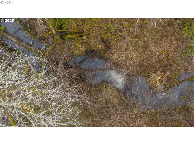 Creek-Front
