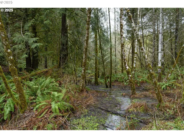 Creek-# 2